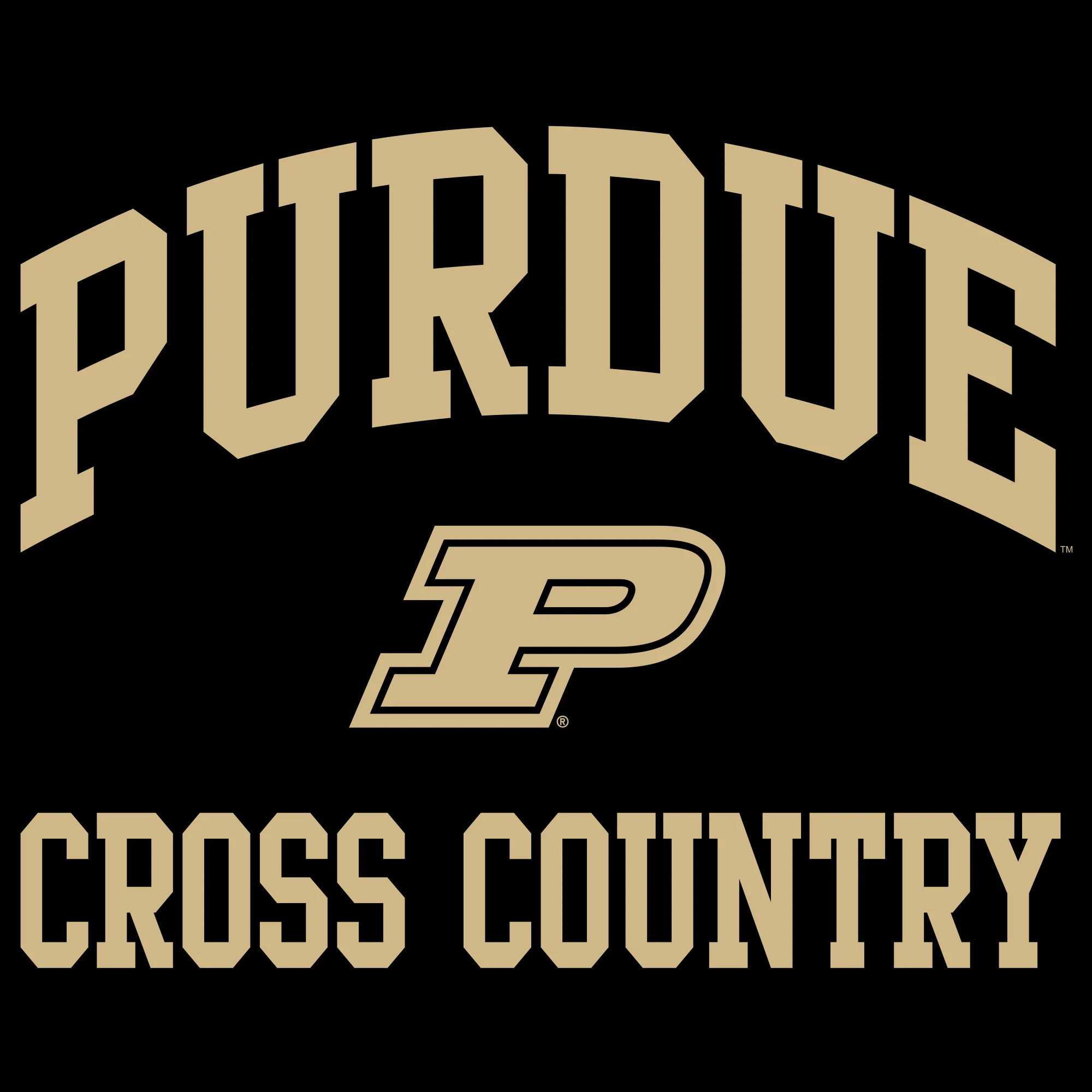 Purdue University Boilermakers Arch Logo Cross Country Hoodie - Black - Image 2