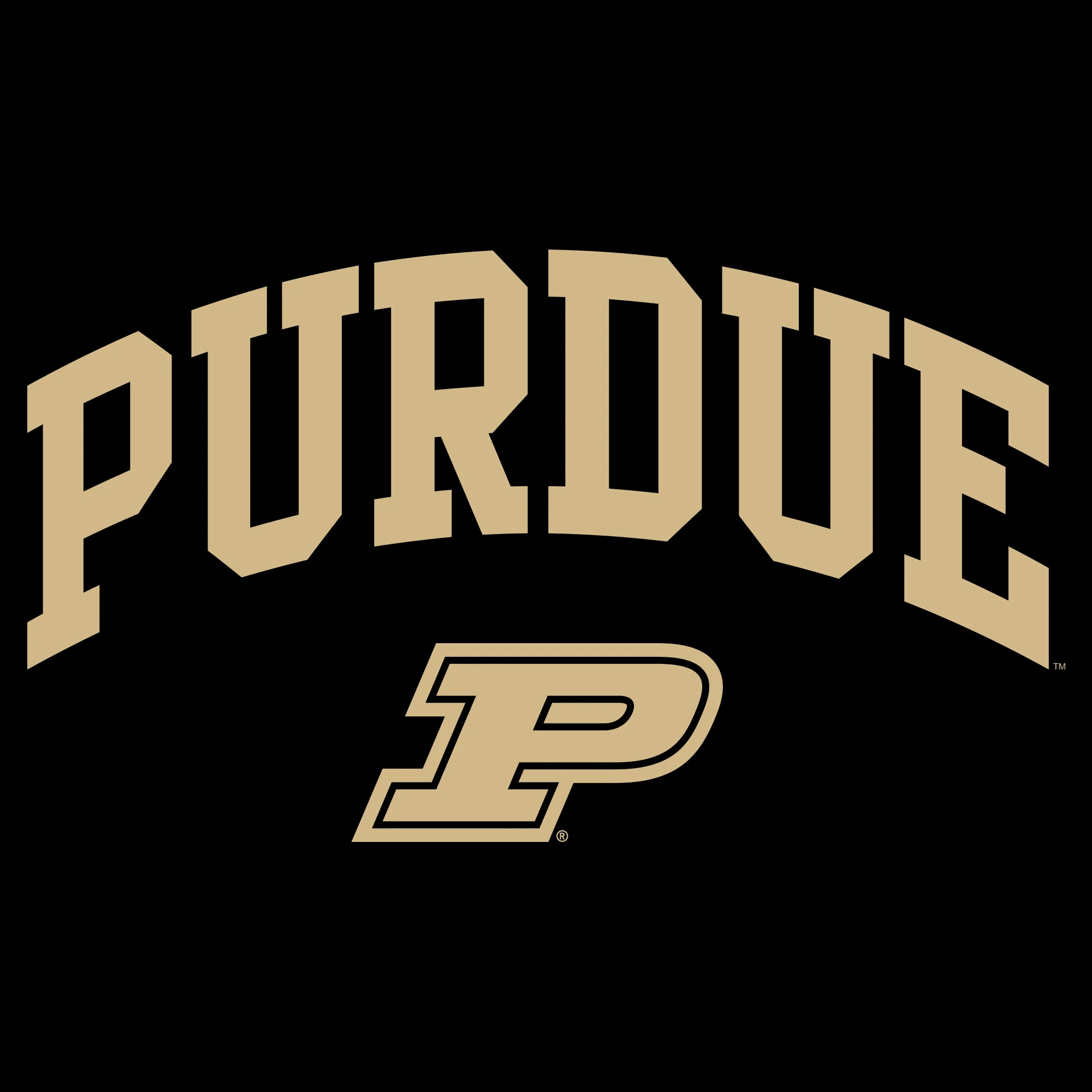 Purdue University Boilermakers Arch Logo Tank Top - Black - Image 2