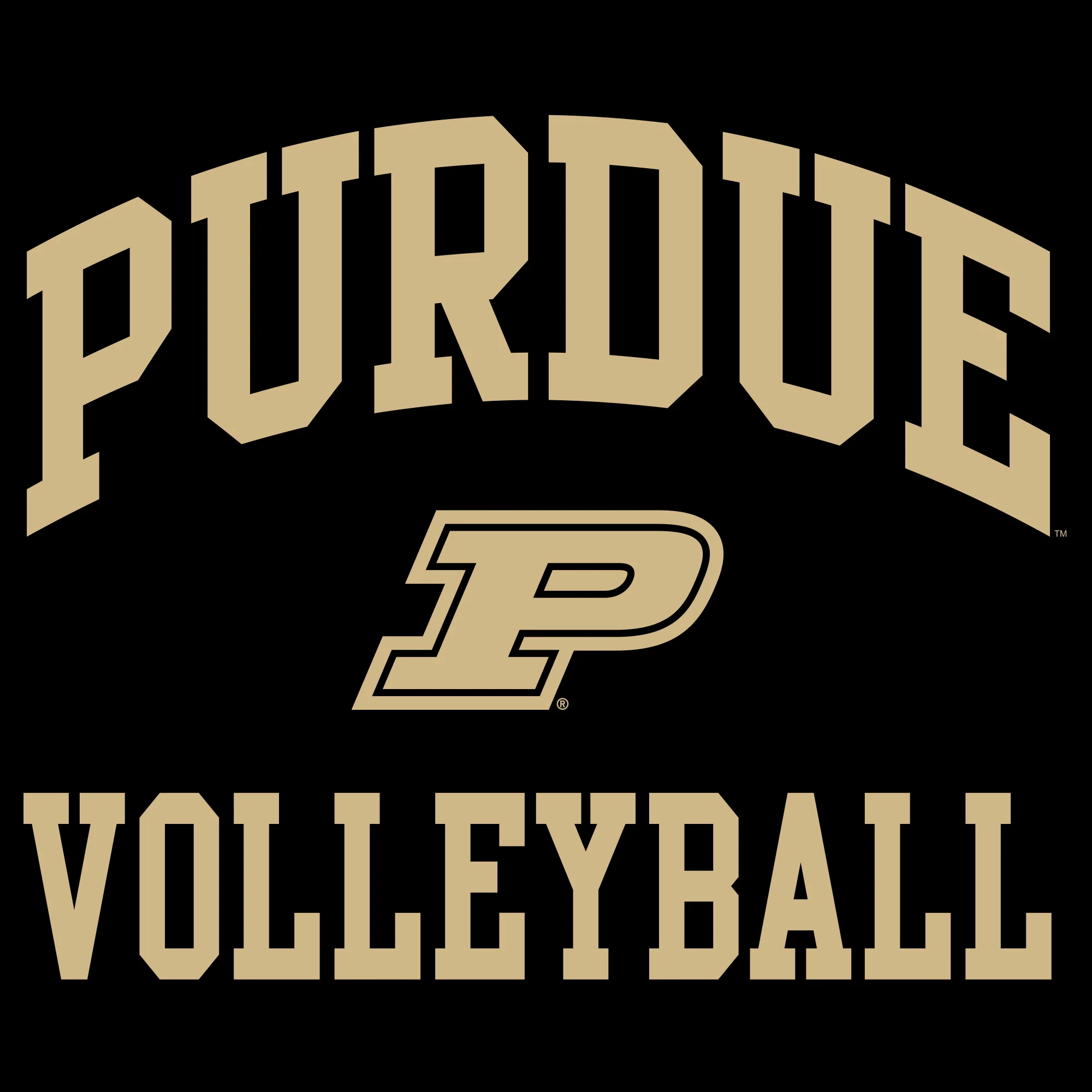Purdue University Boilermakers Arch Logo Volleyball Hoodie - Black - Image 2