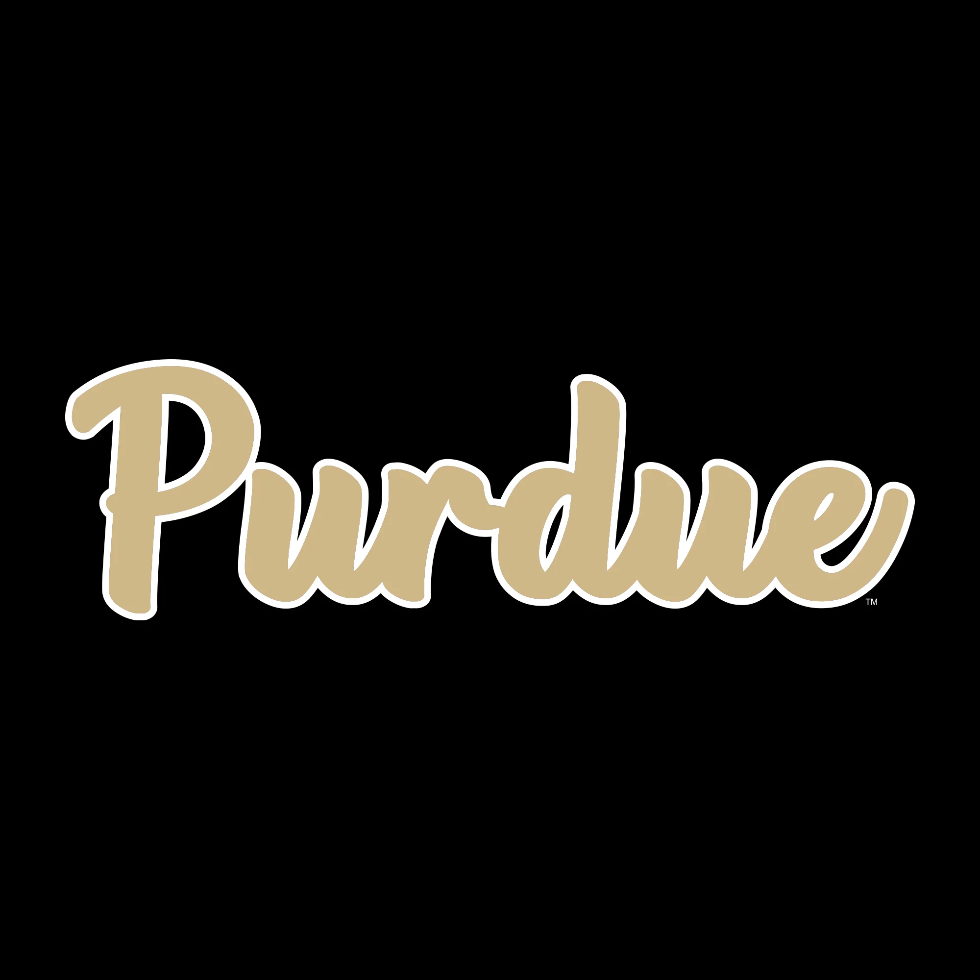 Purdue University Boilermakers Basic Script Heavy Blend Hoodie - Black - Image 2