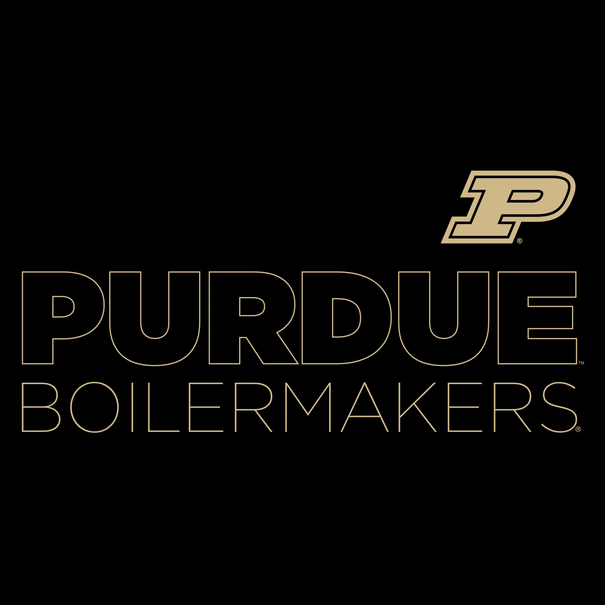 Purdue University Boilermakers Modern Outline Crewneck Sweatshirt - Black - Image 2