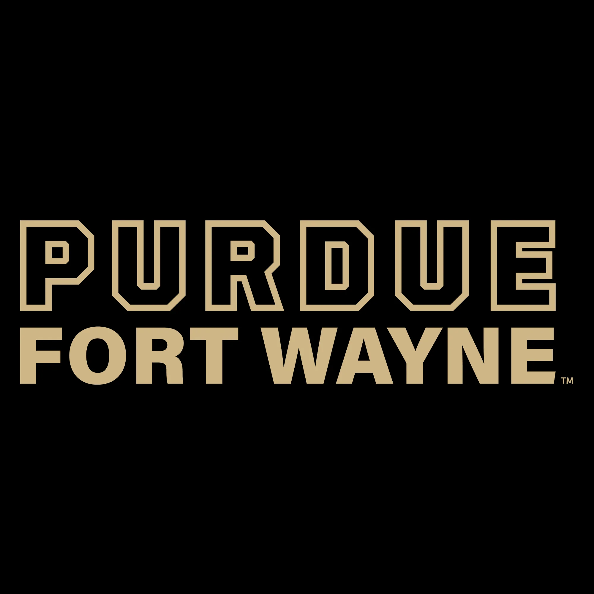 Purdue University Fort Wayne Mastodons Basic Block Hoodie - Black - Image 2