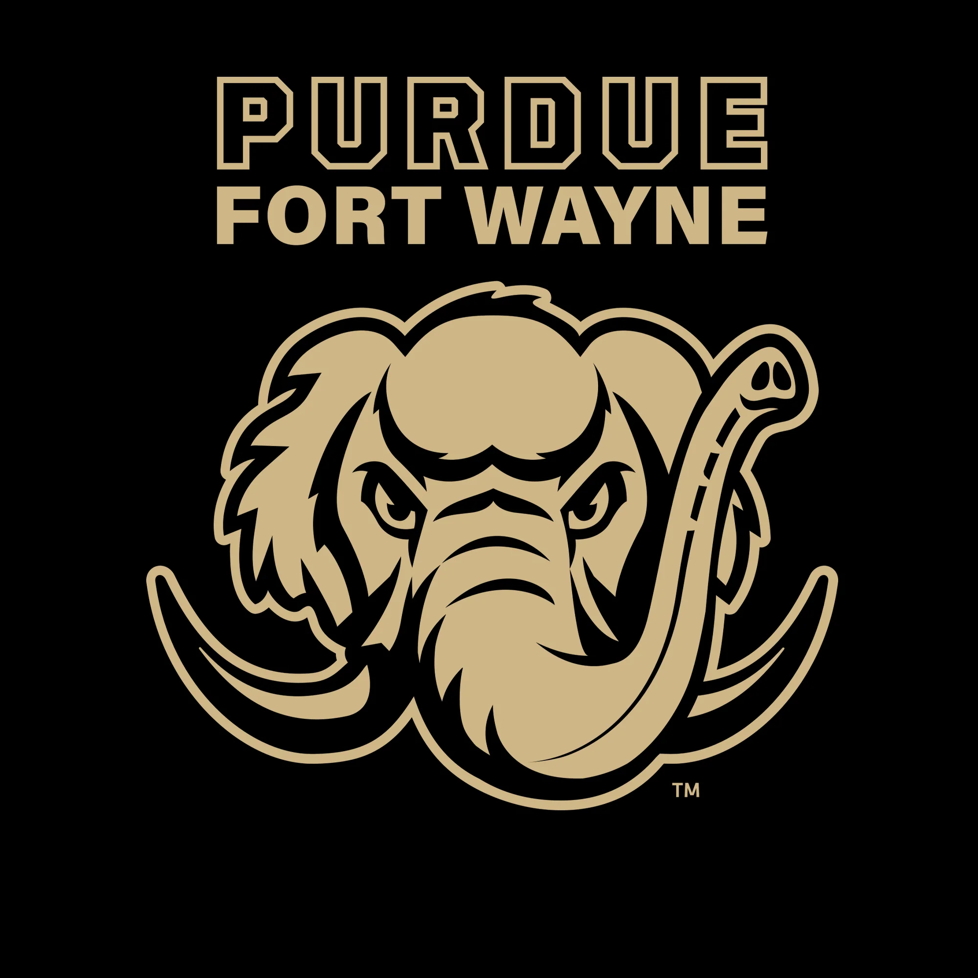 Purdue University Fort Wayne Mastodons Primary Logo Hoodie - Black - Image 2