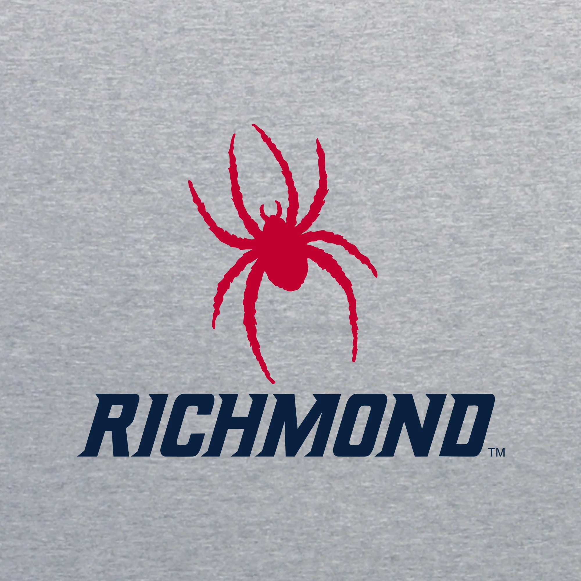 Richmond Spiders Primary Logo Long Sleeve T Shirt - Sport Grey - Image 2