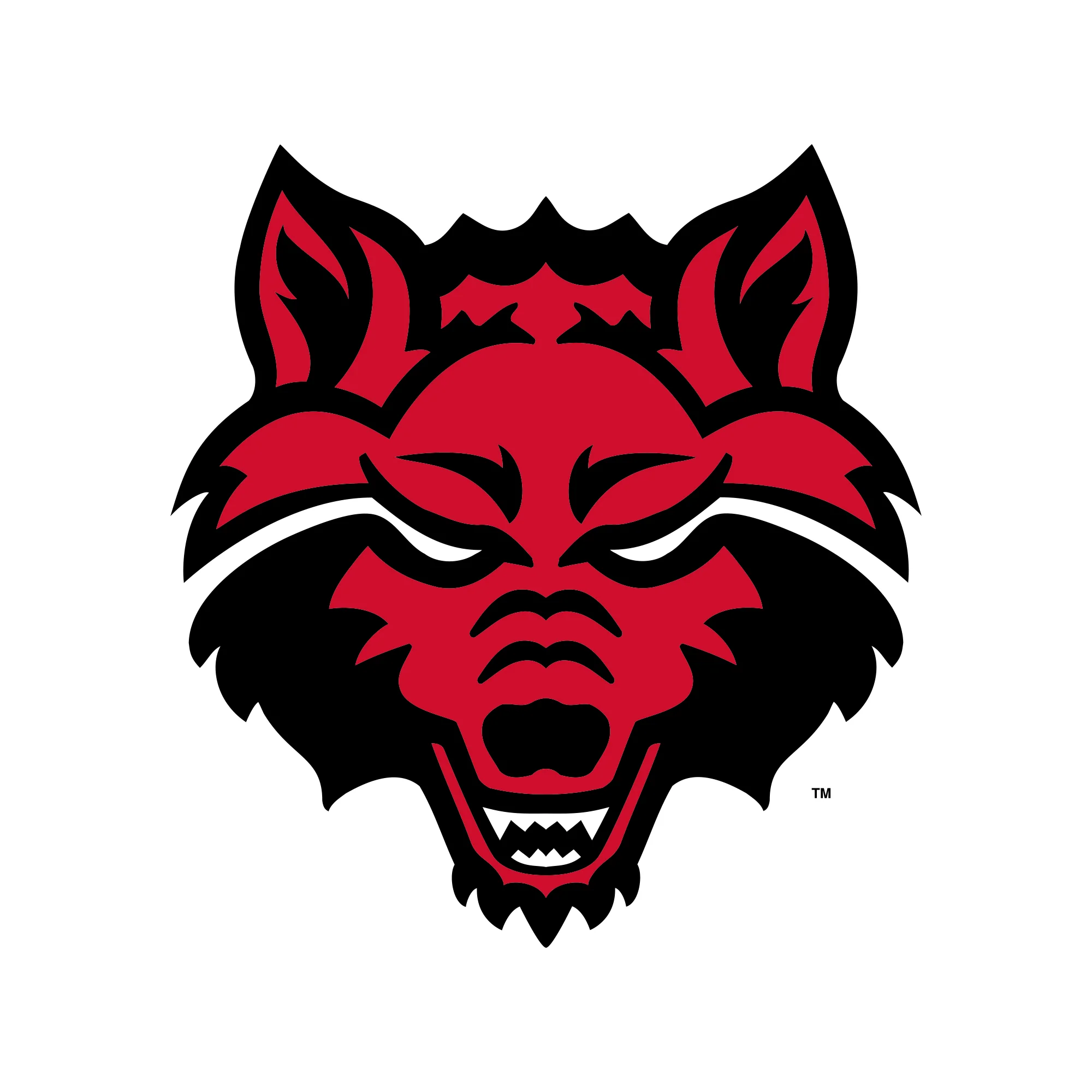 Arkansas State Primary Logo Long Sleeve - White - Image 2