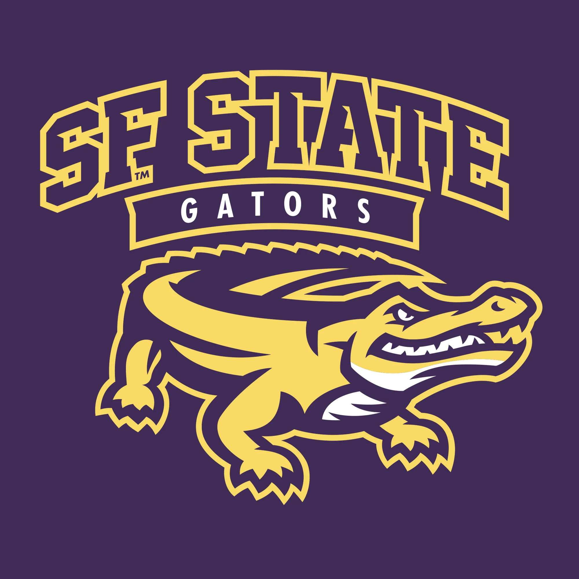 San Francisco State University Gators Arch Logo Youth T-Shirt - Purple - Image 2