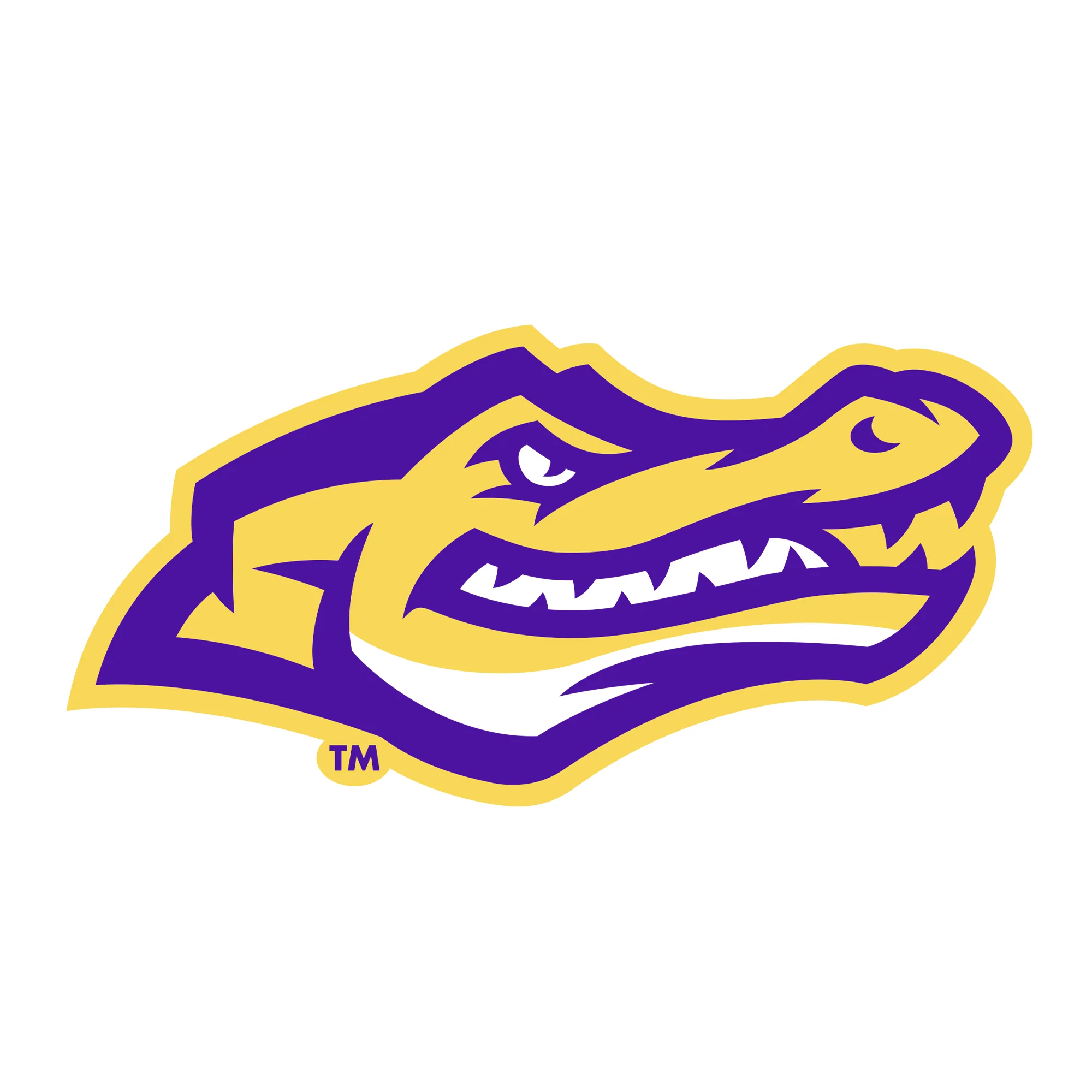 San Francisco State University Gators Primary Logo Hoodie - White - Image 2