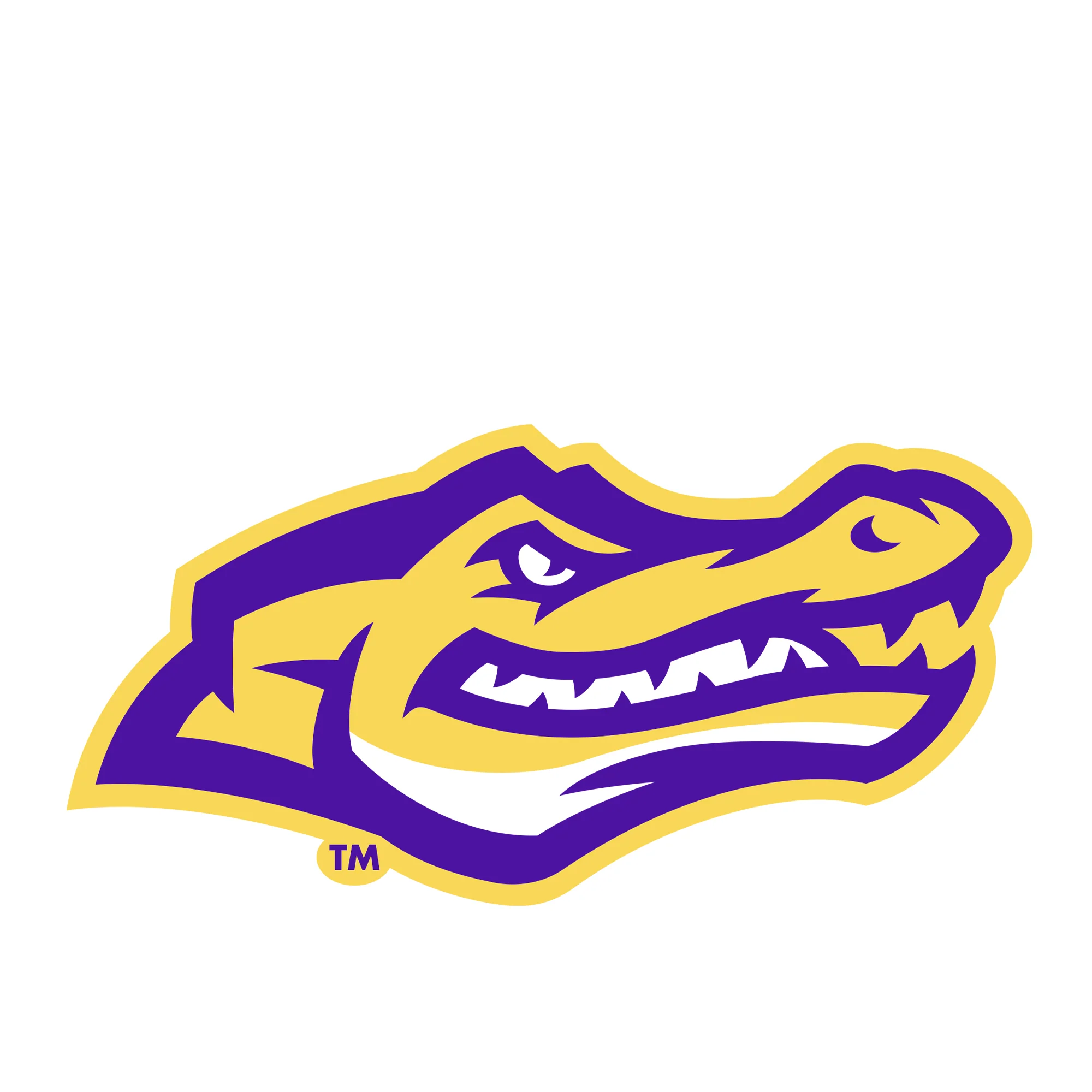 San Francisco State University Gators Primary Logo Youth T-Shirt - White - Image 2