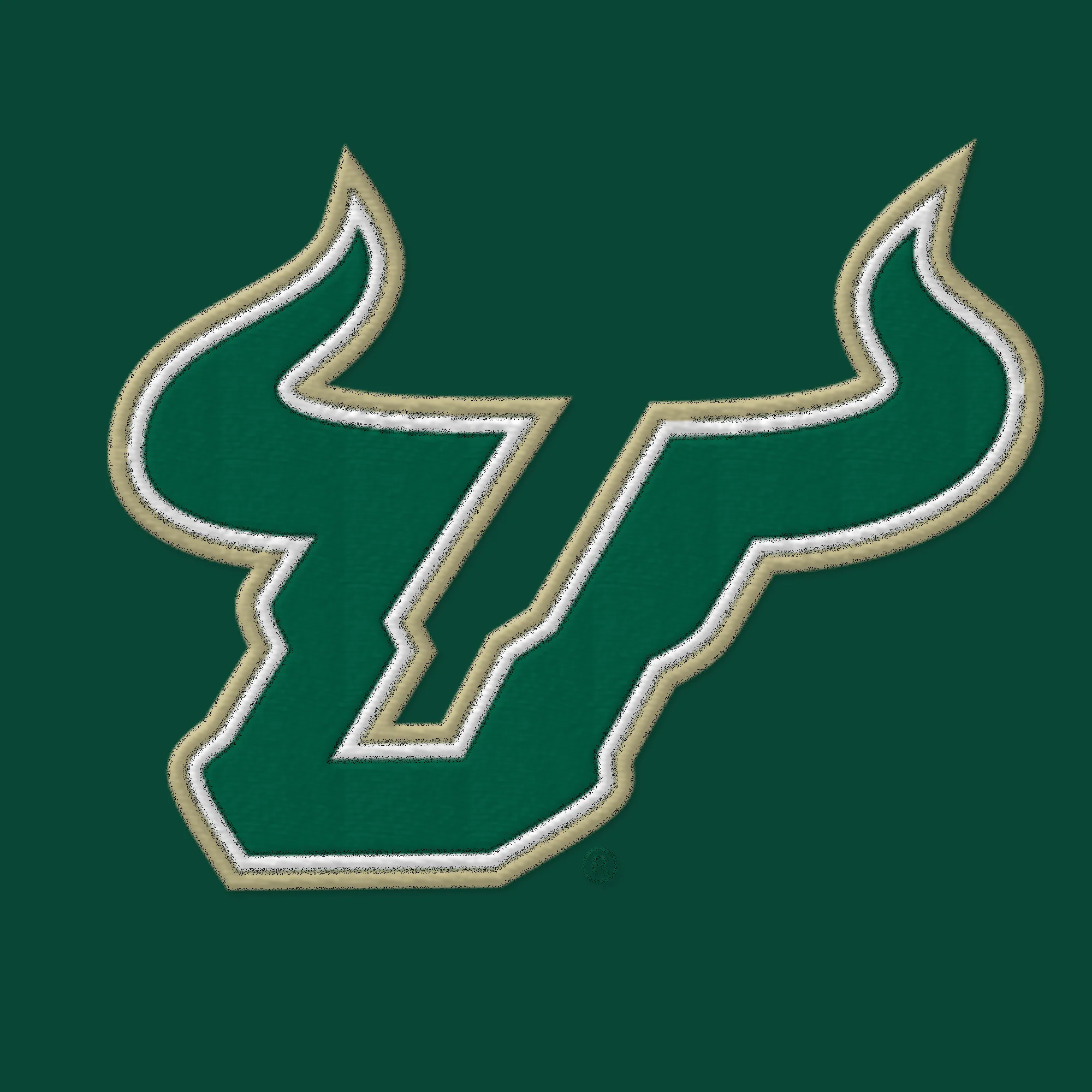 South Florida Bulls Primary Logo Beanie - One Size - Forest - Image 2
