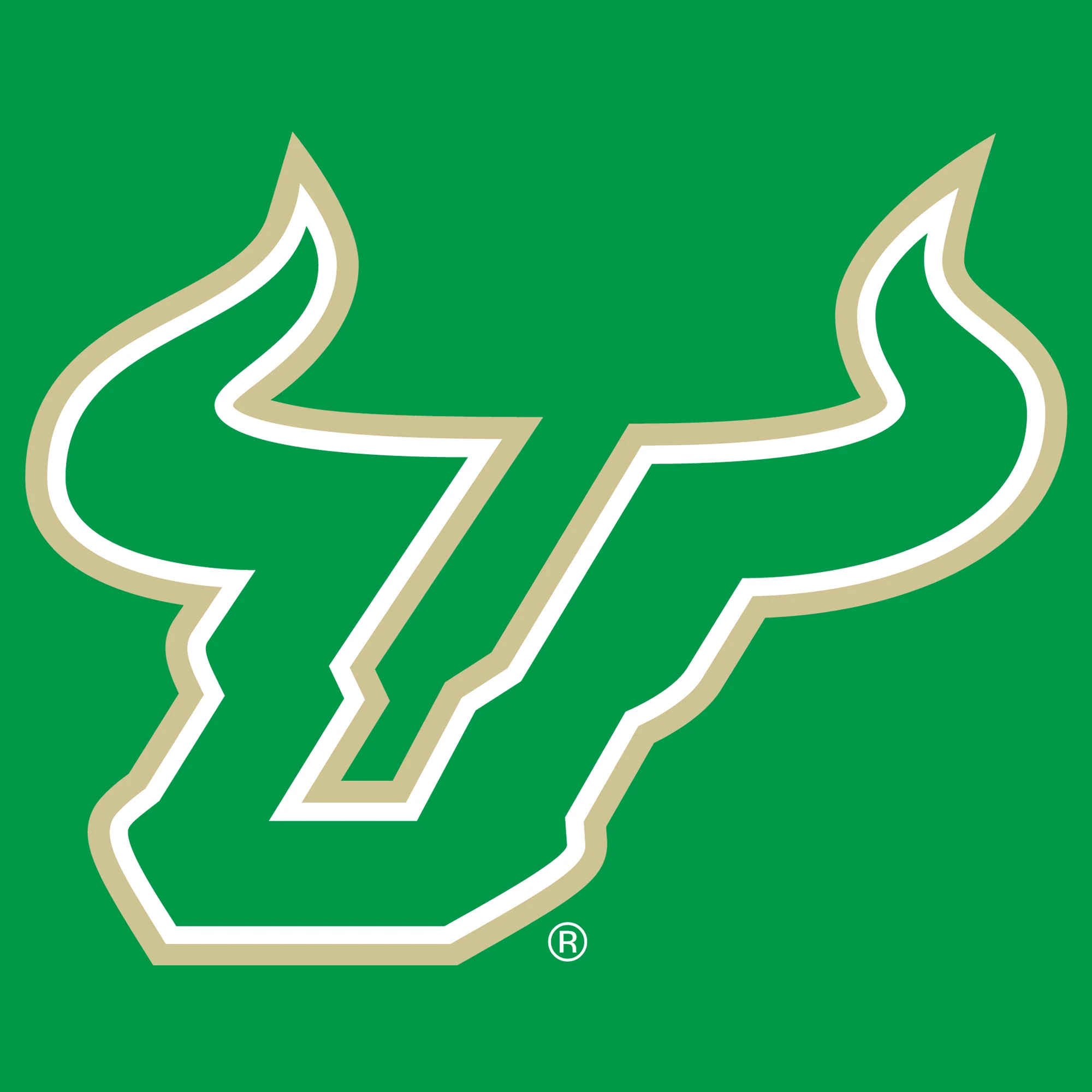 South Florida Bulls Primary Logo Youth T-Shirt - Irish Green - Image 2
