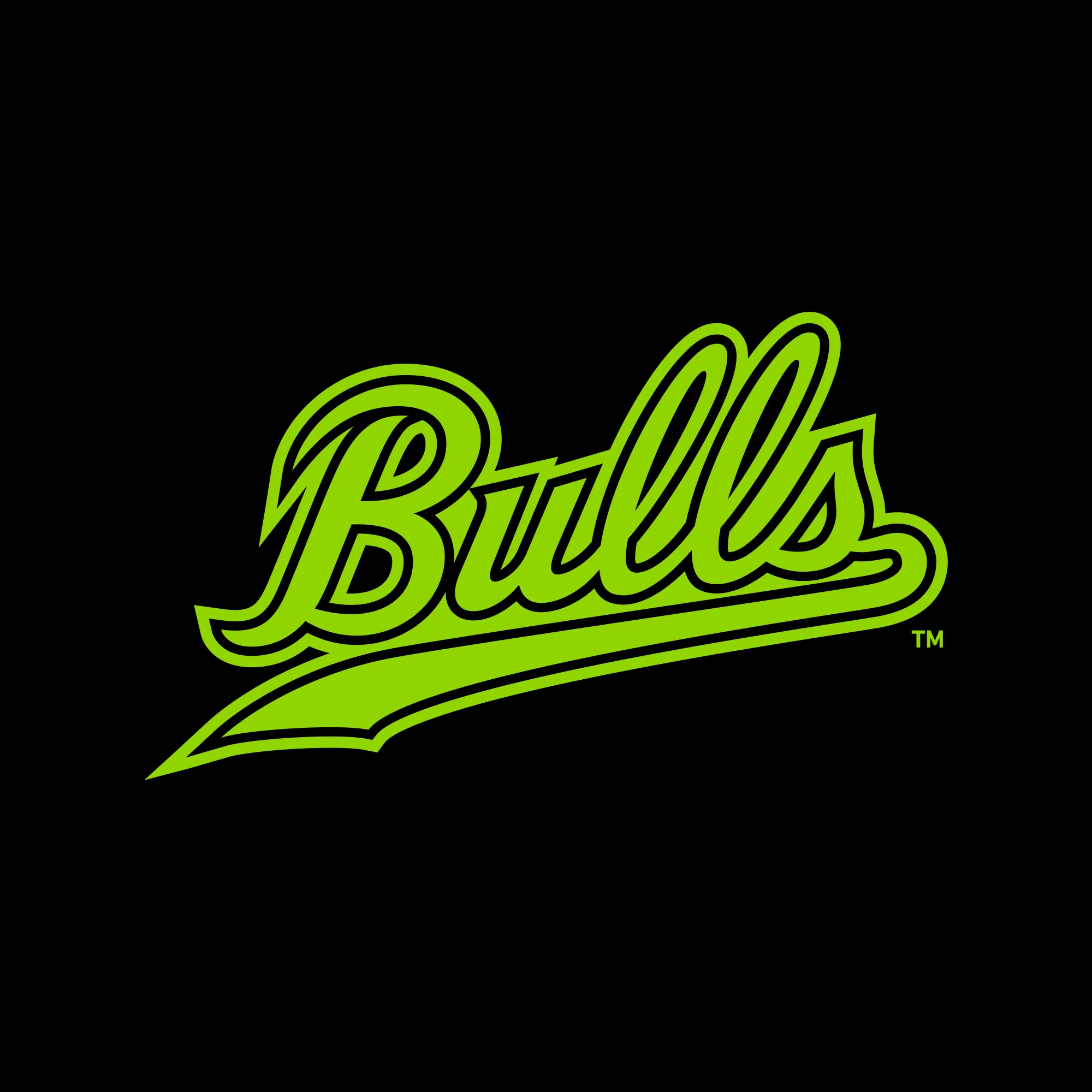 South Florida Script Logo JA BTB Hoodie - Black - Image 2