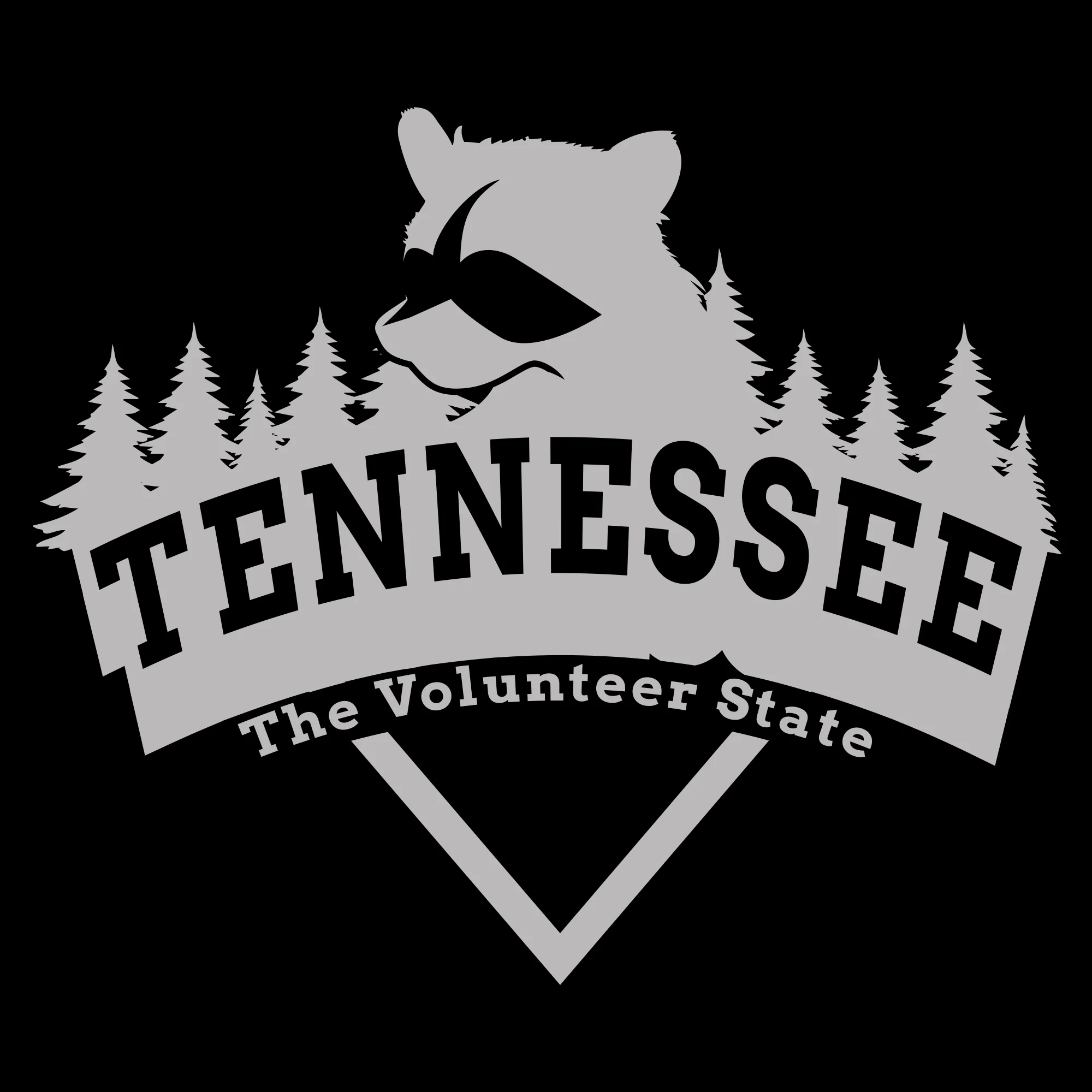 Tennessee Racoon Arch T-Shirt - Black - Image 2