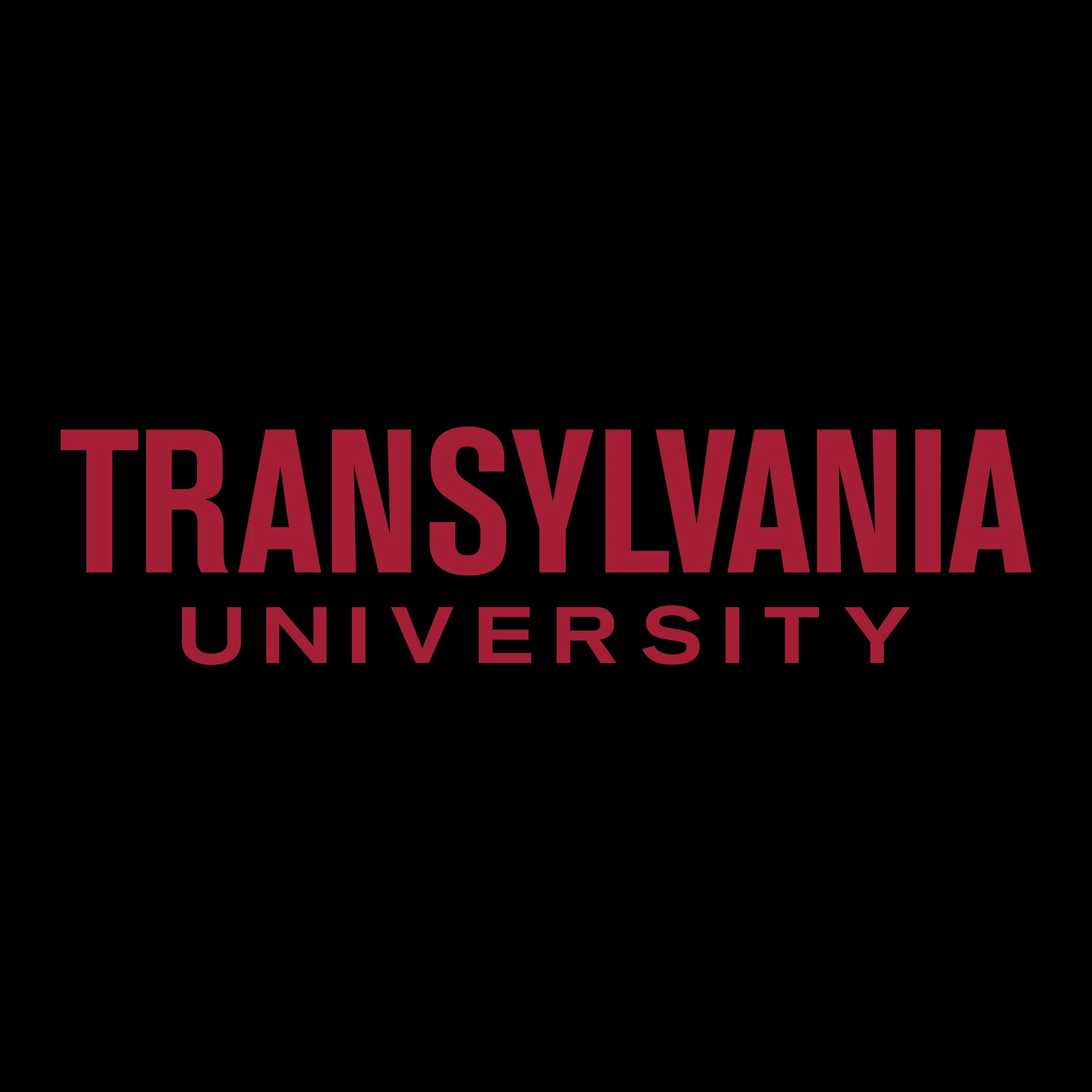 Transylvania University Pioneers Basic Block Youth Short Sleeve T Shirt - Black - Image 2