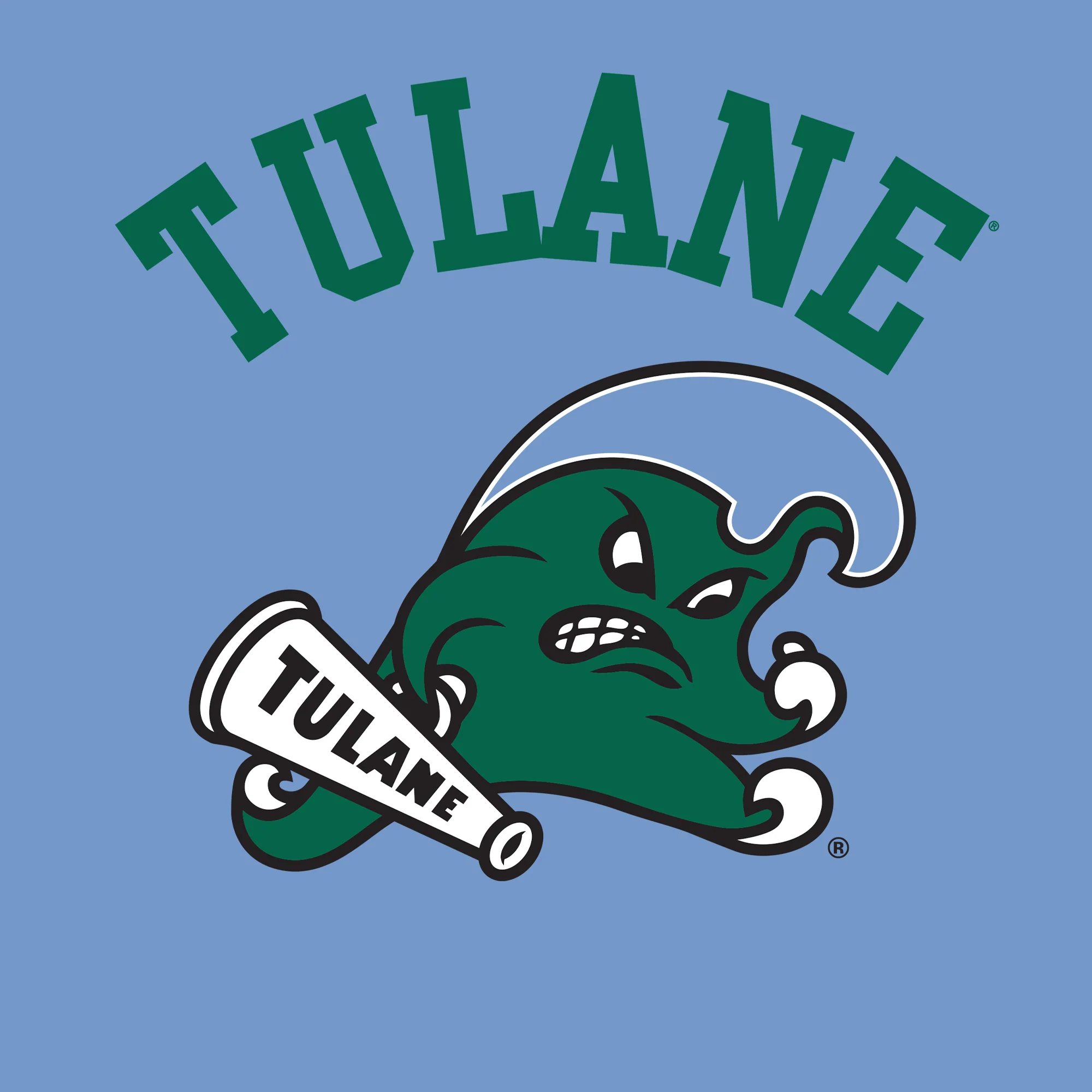 Tulane Green Wave Arch Logo Youth T-Shirt - C Blue - Image 2