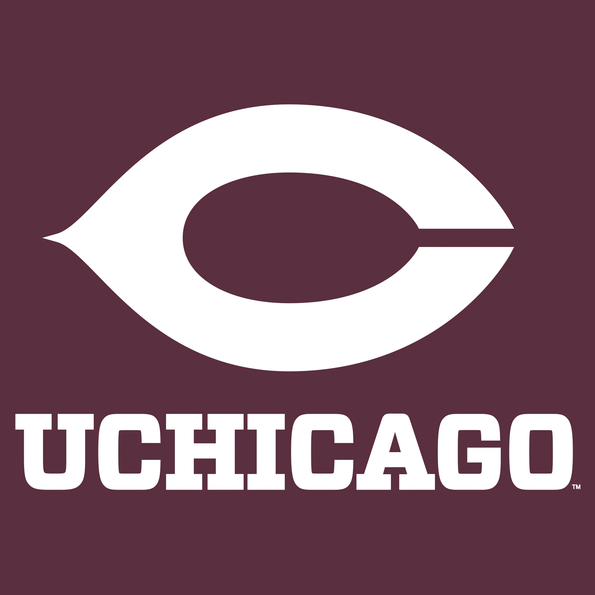 UChicago Primary Logo T-Shirt - Maroon - Image 2