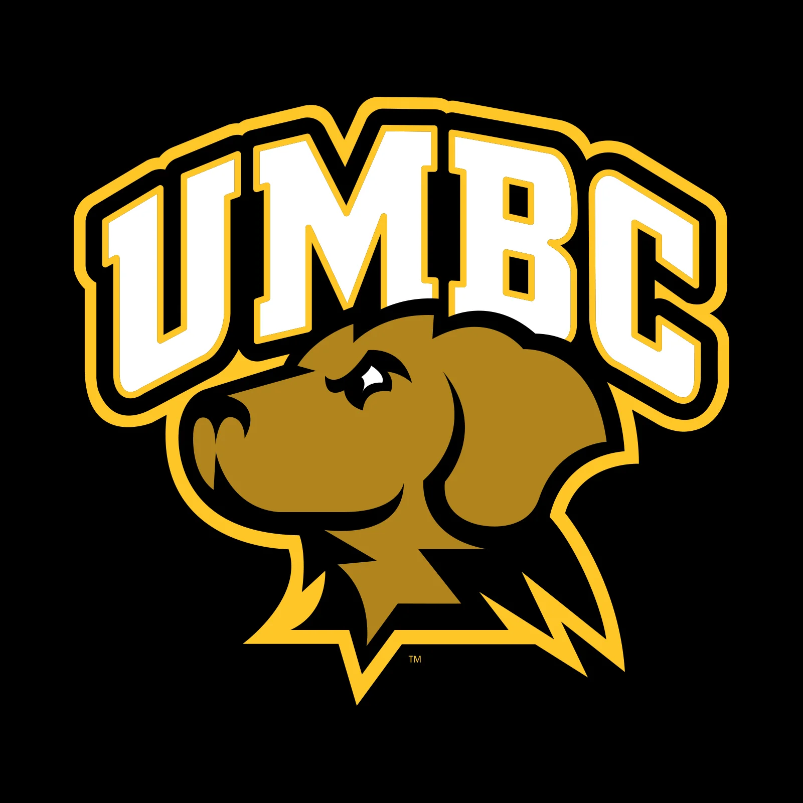 University of Maryland Baltimore County Retrievers Arch Logo Short Sleeve T Shirt - Black - Image 2