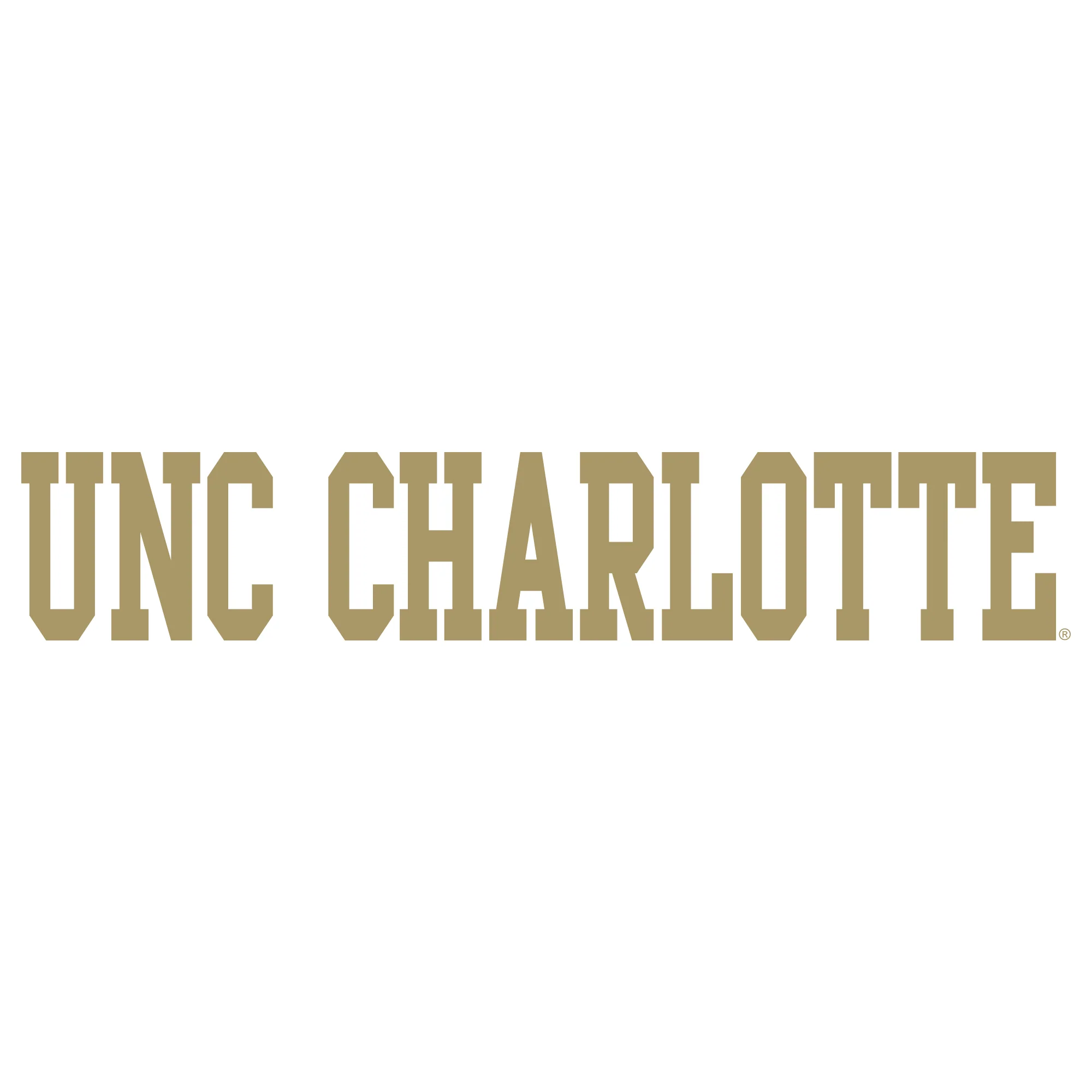 UNC Charlotte Forty-Niners Basic Block Hoodie - White - Image 2