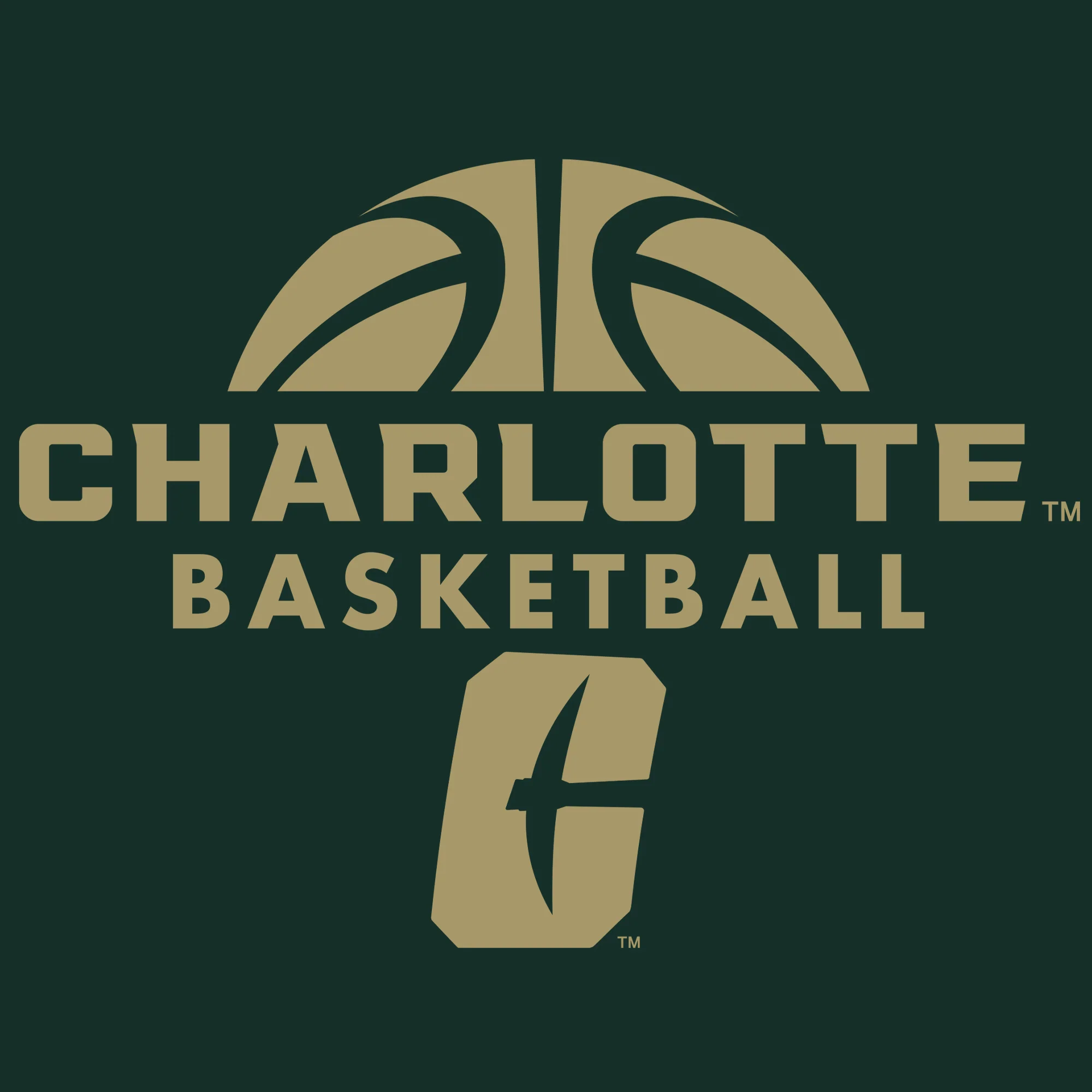 UNC Charlotte Miners Basketball Hype T-Shirt - Forest - Image 2