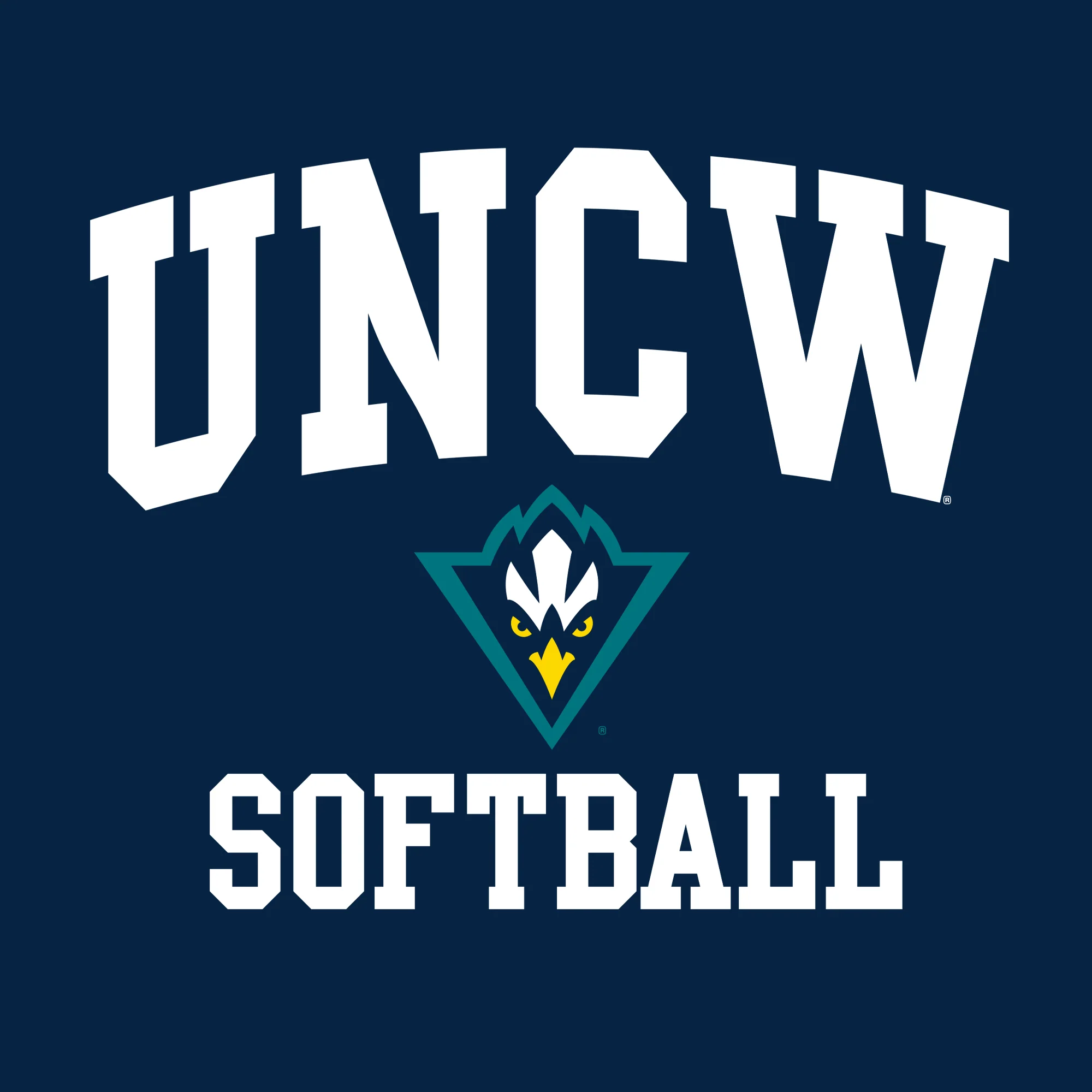 UNC Wilmington Seahawks Arch Logo Softball Hoodie - Navy - Image 2