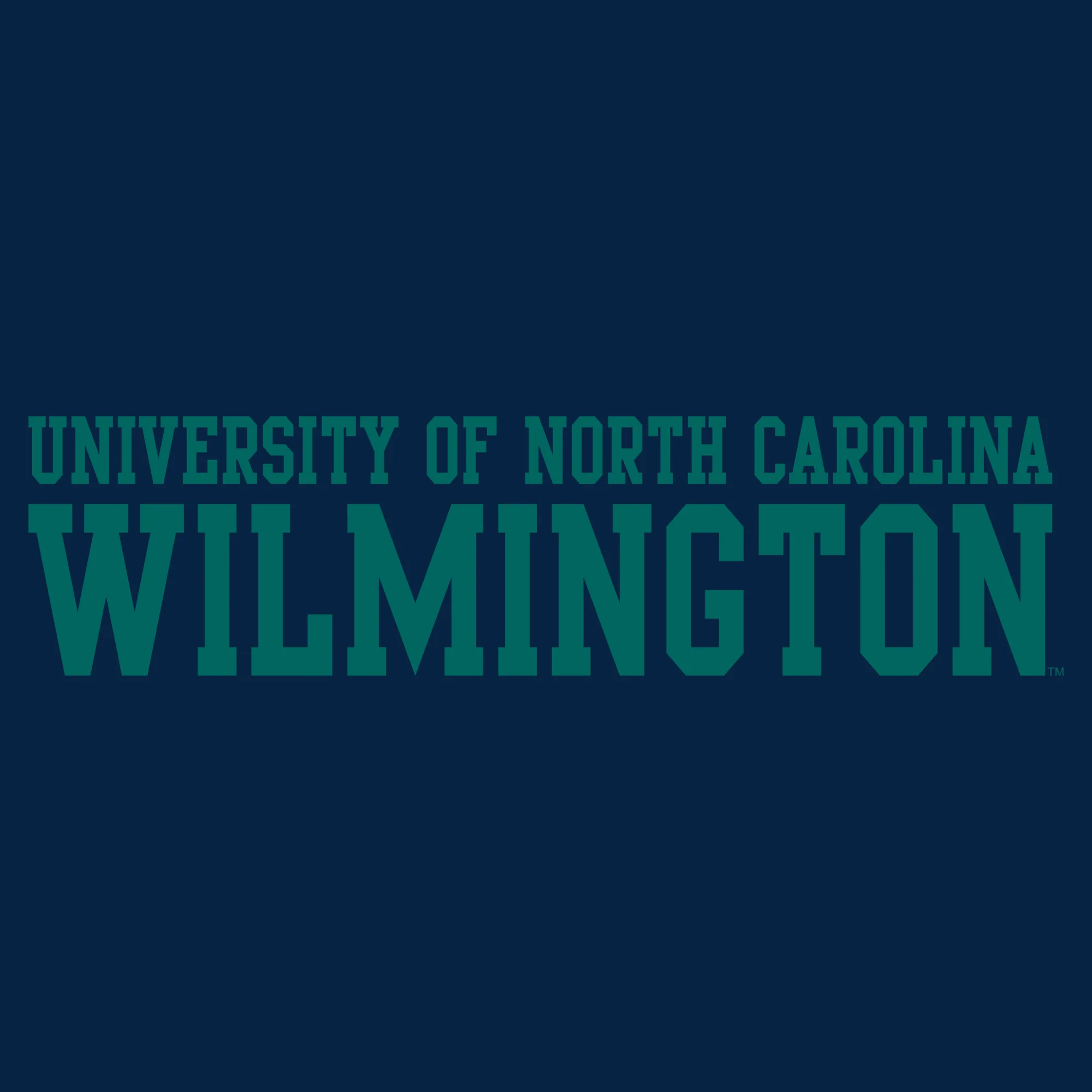 UNC Wilmington Seahawks Basic Block Hoodie - Navy - Image 2