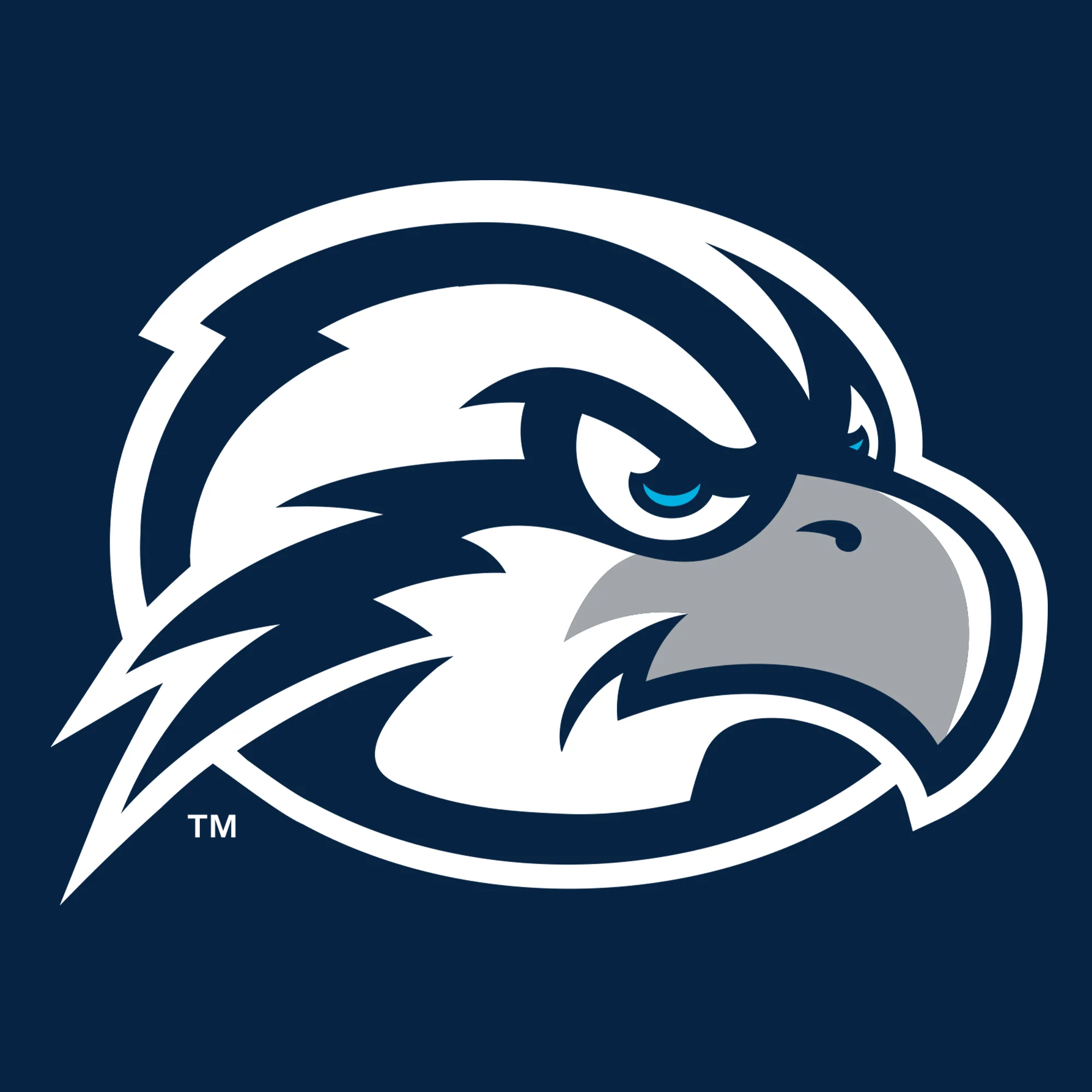 University of North Florida Ospreys Primary Logo Creeper - Navy - Image 2