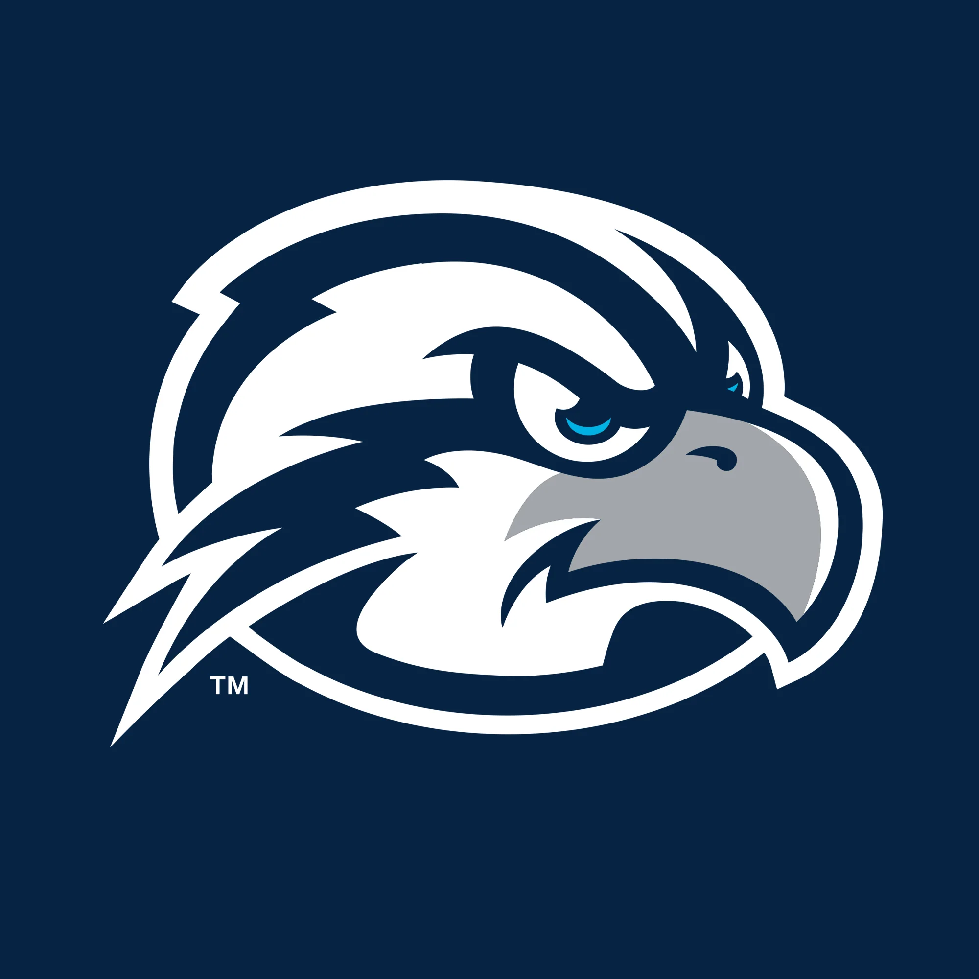 University of North Florida Ospreys Primary Logo Long Sleeve T-Shirt - Navy - Image 2