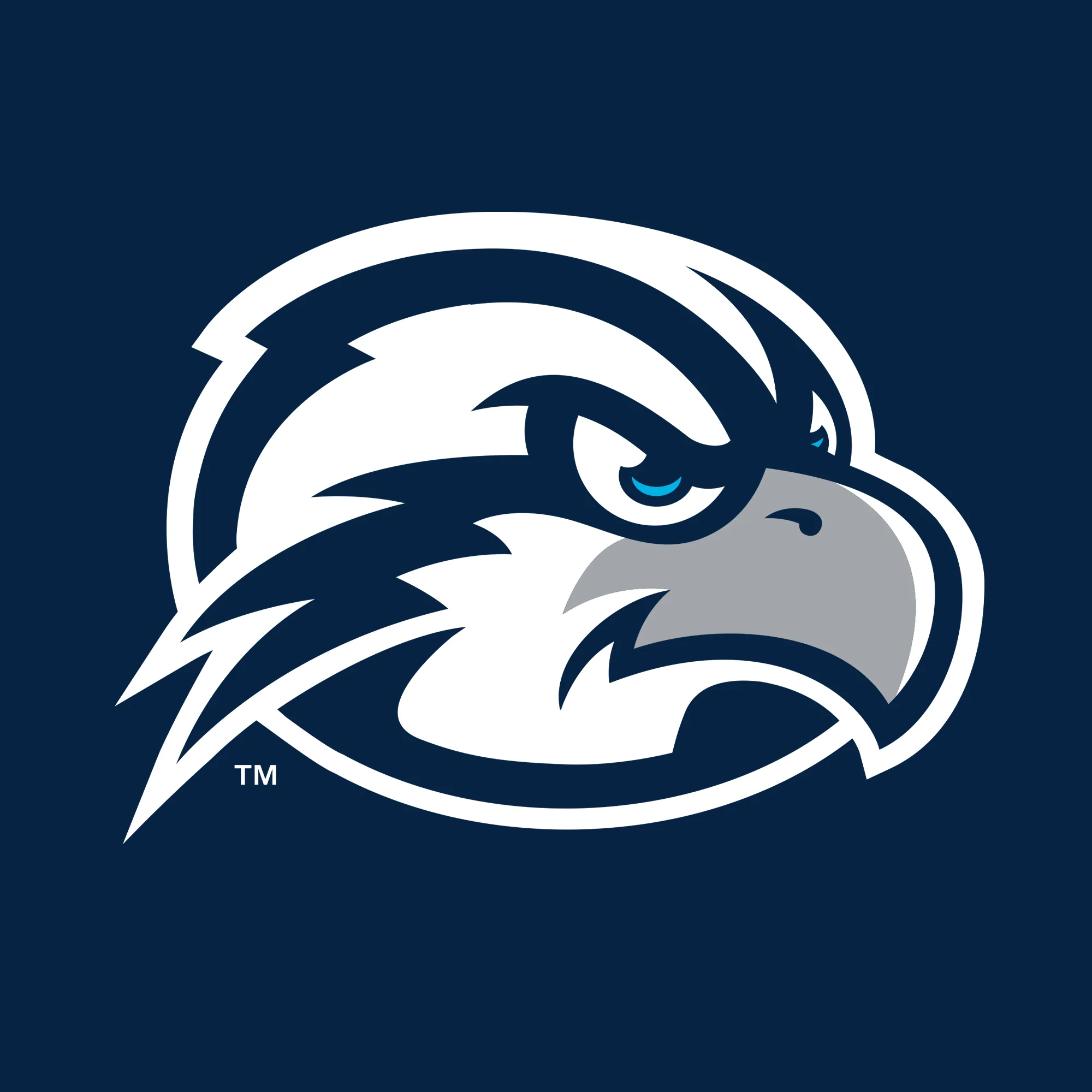 University of North Florida Ospreys Primary Logo Women's Short Sleeve T Shirt - Navy - Image 2
