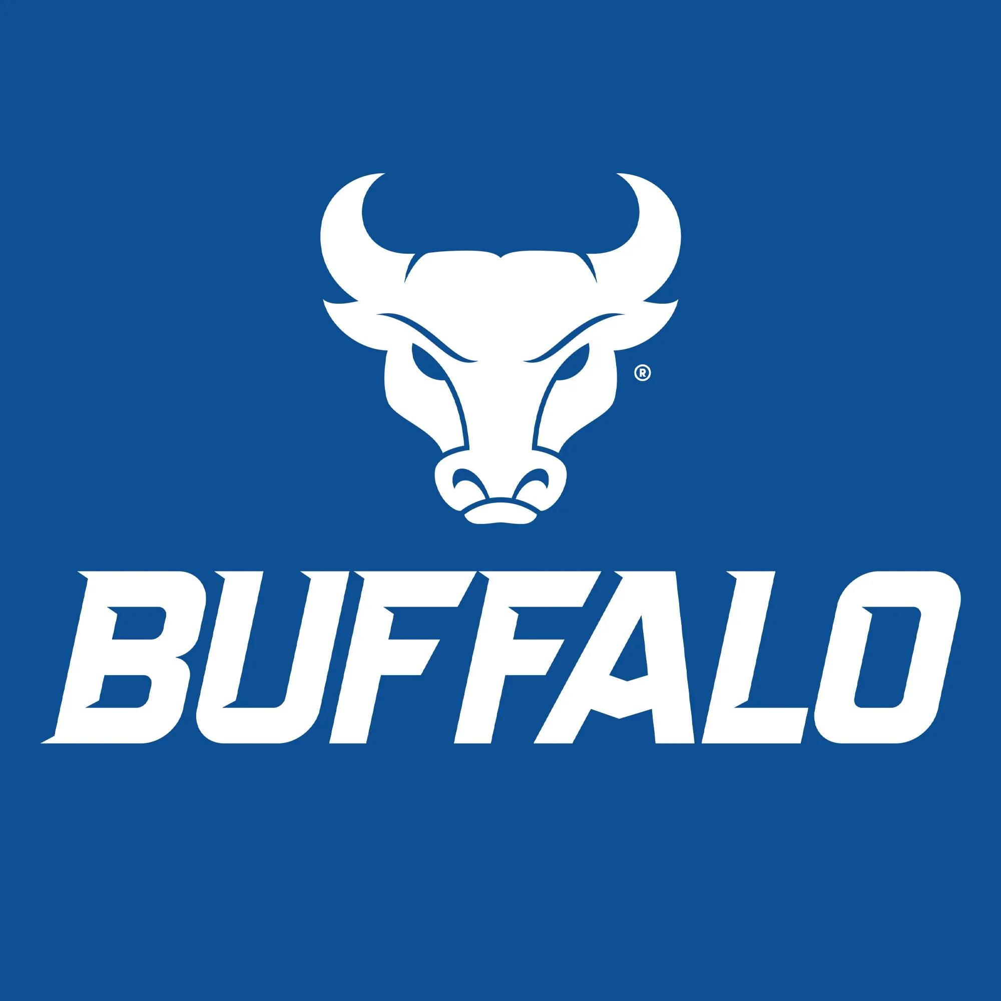 University at Buffalo Bulls Front Back Print Short Sleeve T Shirt - Royal - Image 4