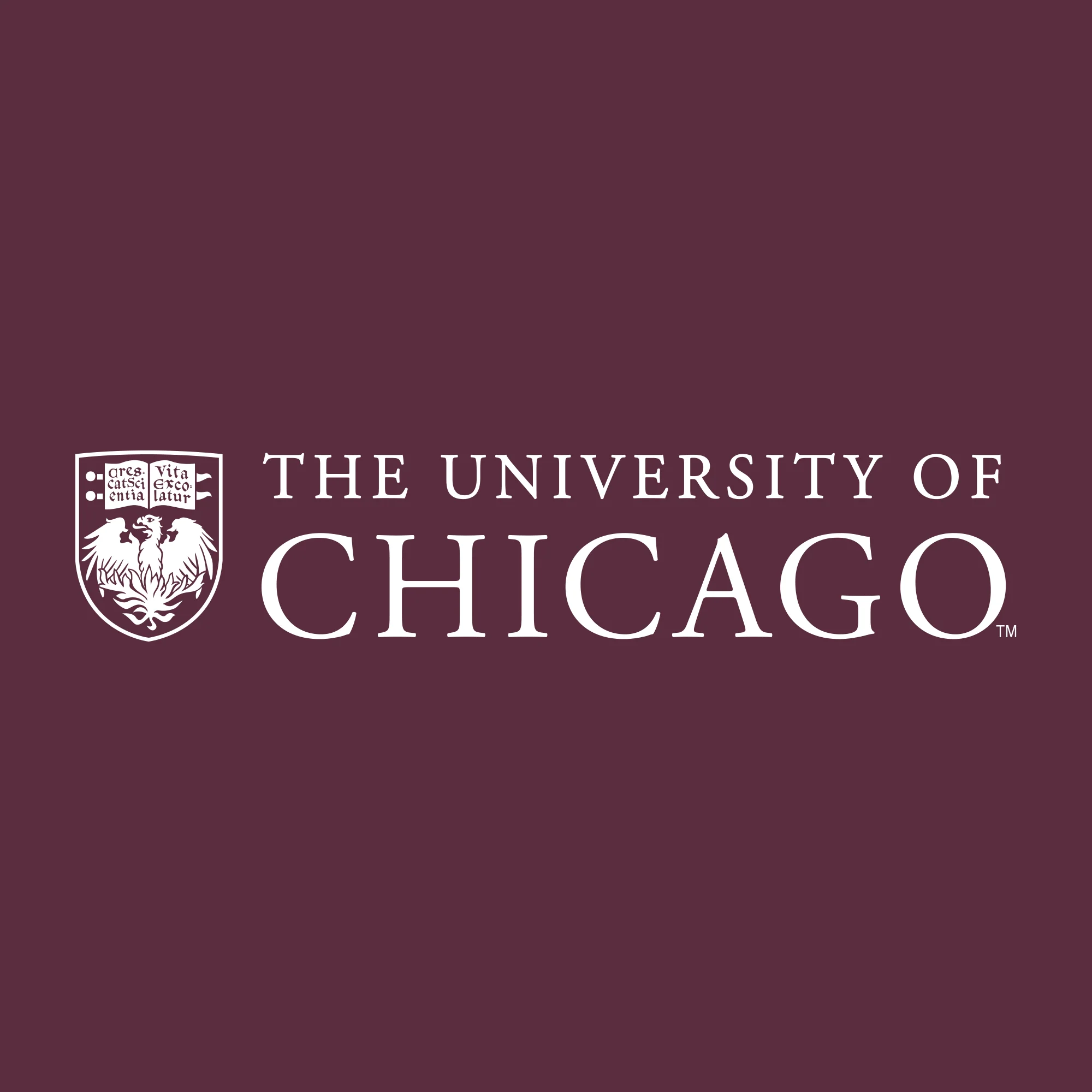 University of Chicago Maroons Institutional Logo Long Sleeve T Shirt - Maroon - Image 2