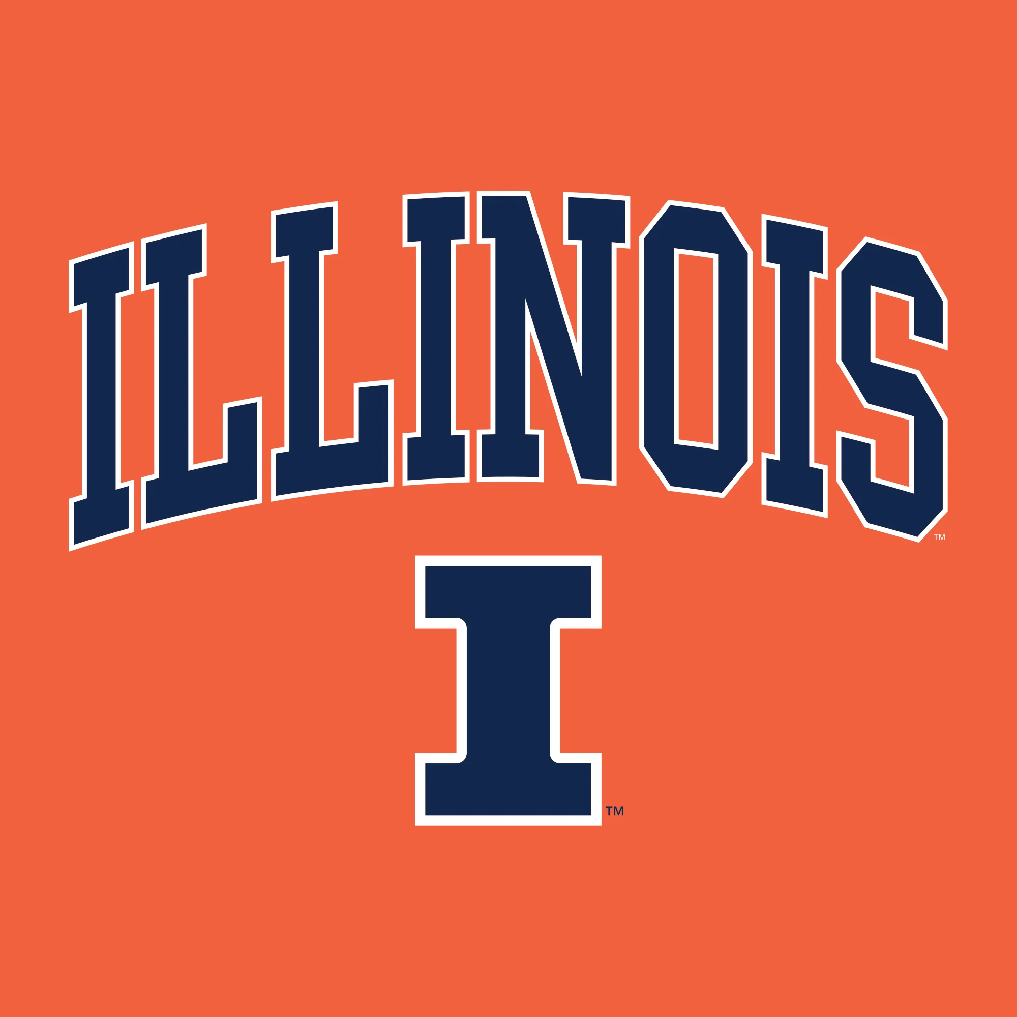 University of Illinois Fighting Illini Arch Logo Cotton Long Sleeve T-Shirt - Orange - Image 2