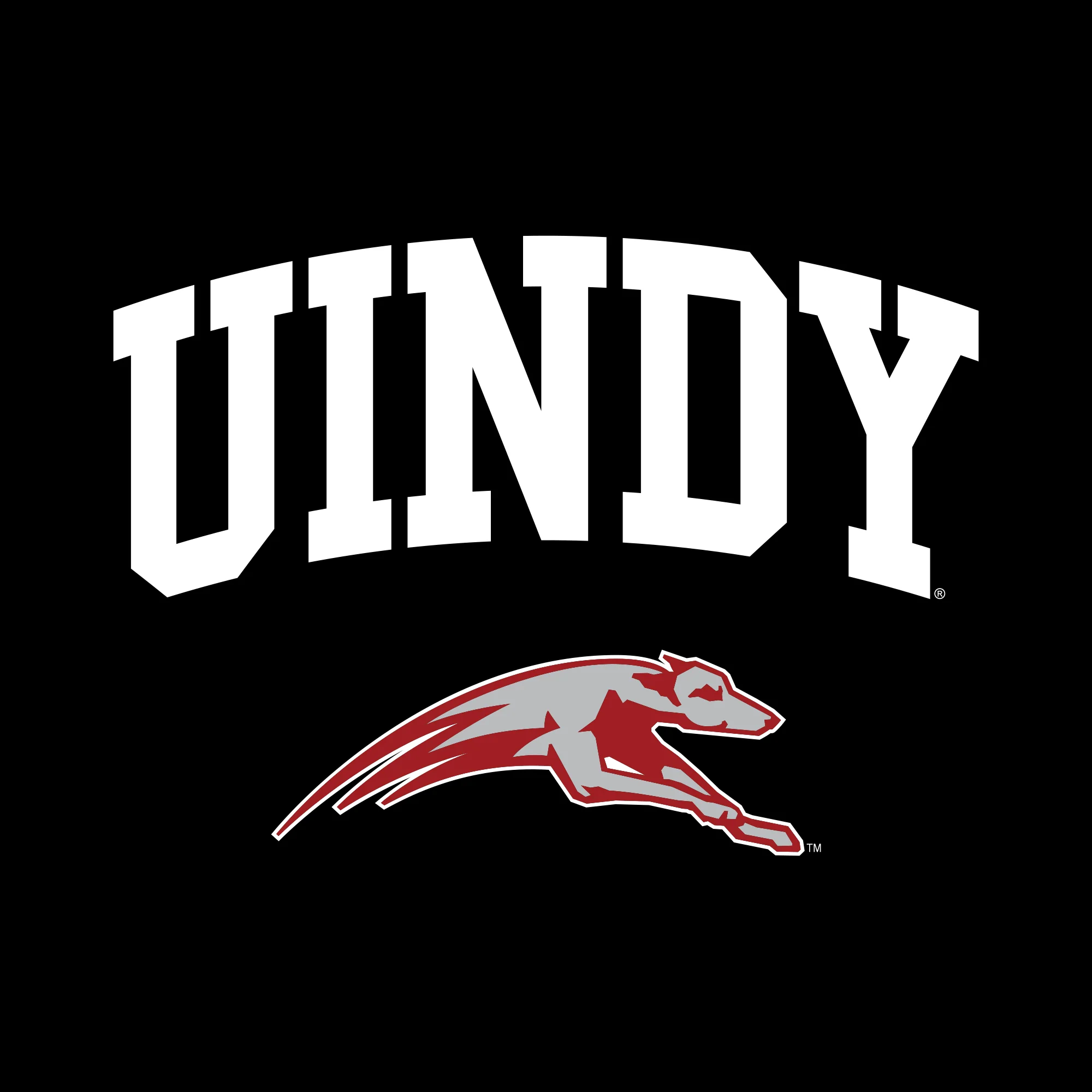University of Indianapolis Greyhounds Arch Logo Cotton Hoodie - Black - Image 2