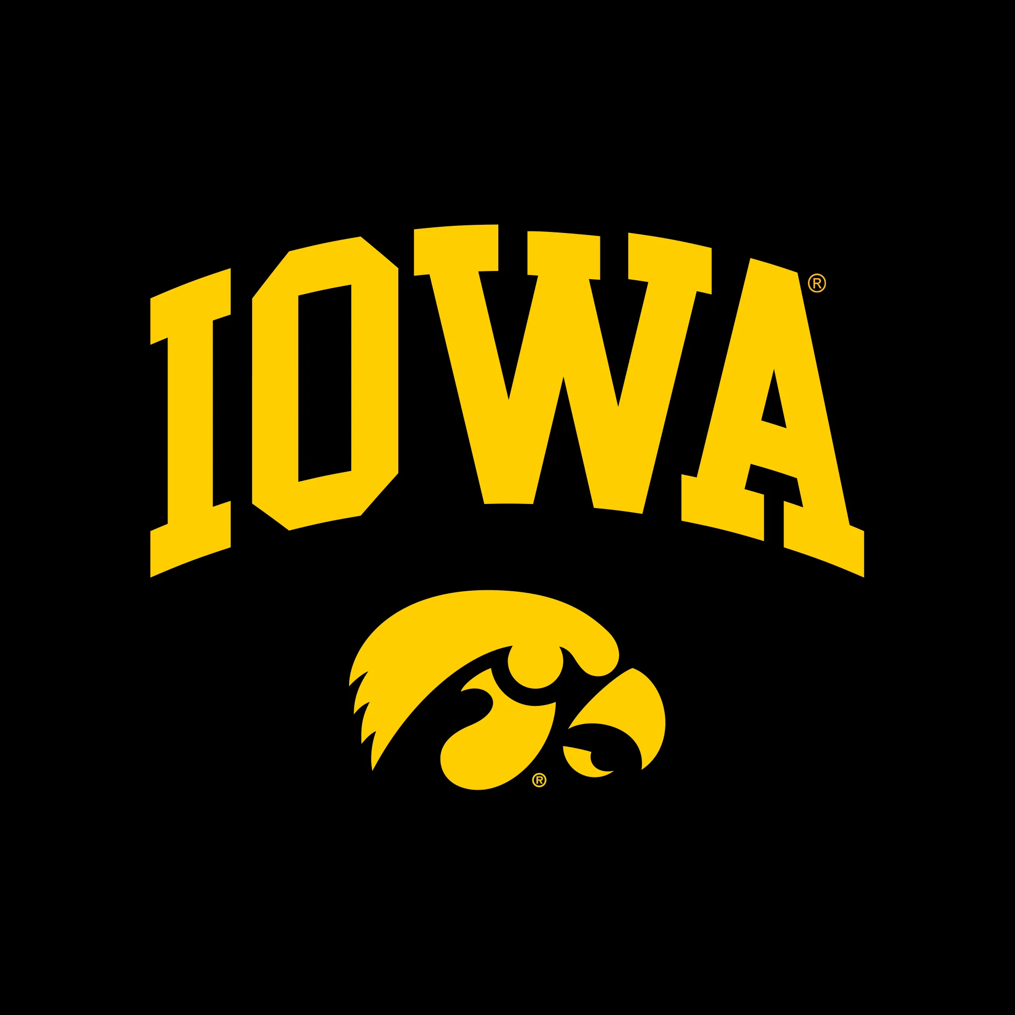 University of Iowa Hawkeyes Arch Logo Cotton Long Sleeve T Shirt - Black - Image 2