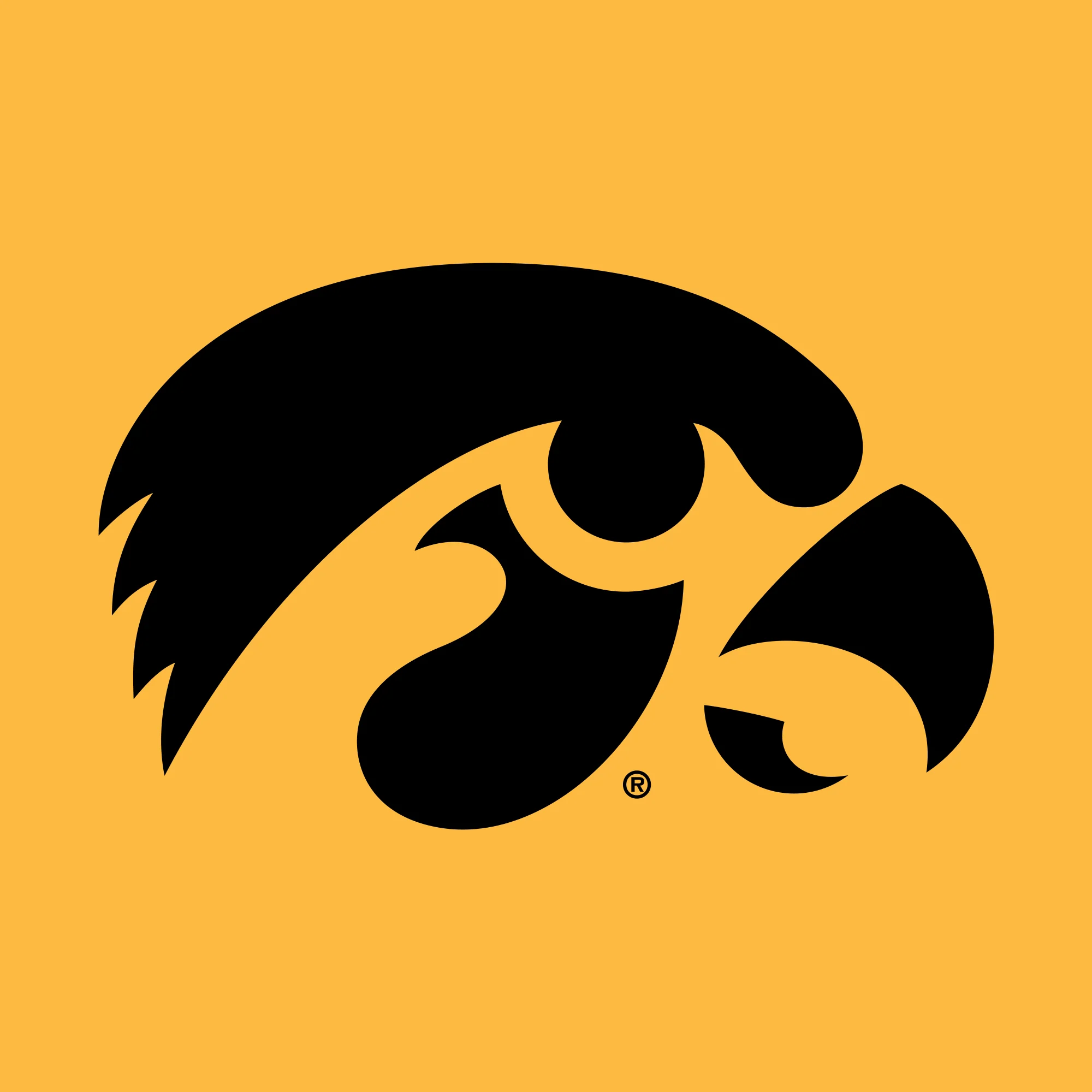 University of Iowa Hawkeyes Primary Logo Short Sleeve T Shirt - Gold - Image 2