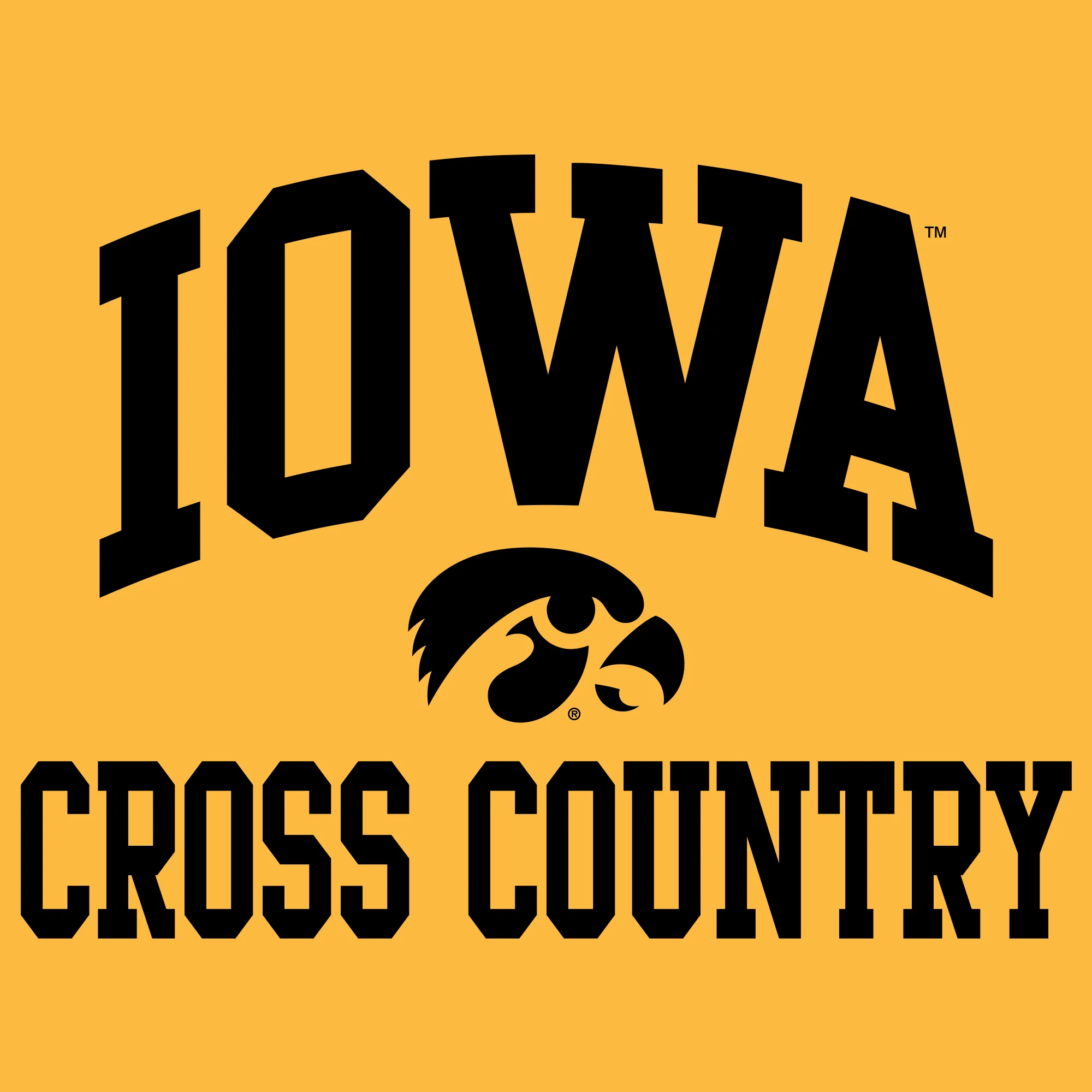 University of Iowa Hawkeyes Arch Logo Cross Country Hoodie - Gold - Image 2