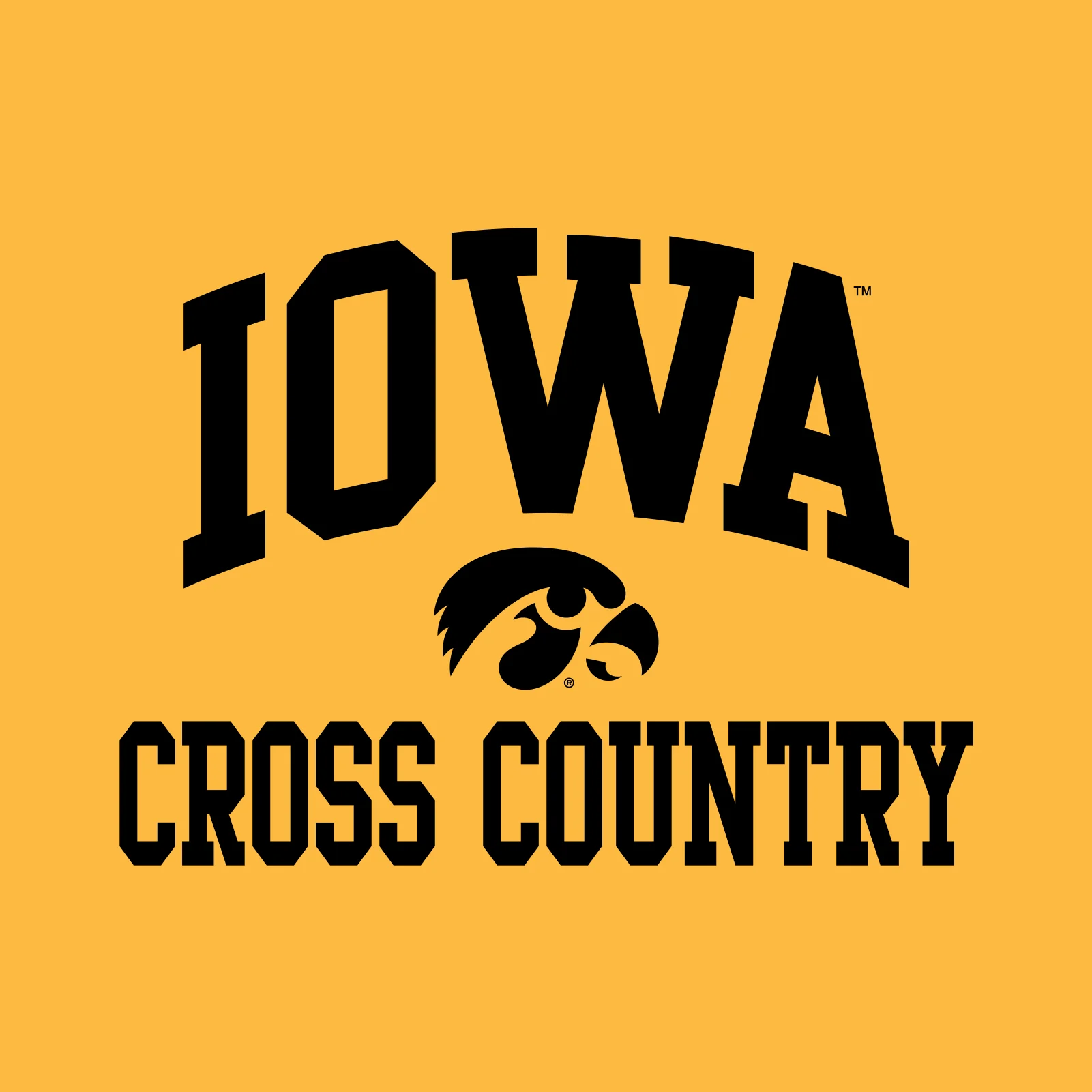 University of Iowa Hawkeyes Arch Logo Cross Country Sleeve T Shirt - Gold - Image 2