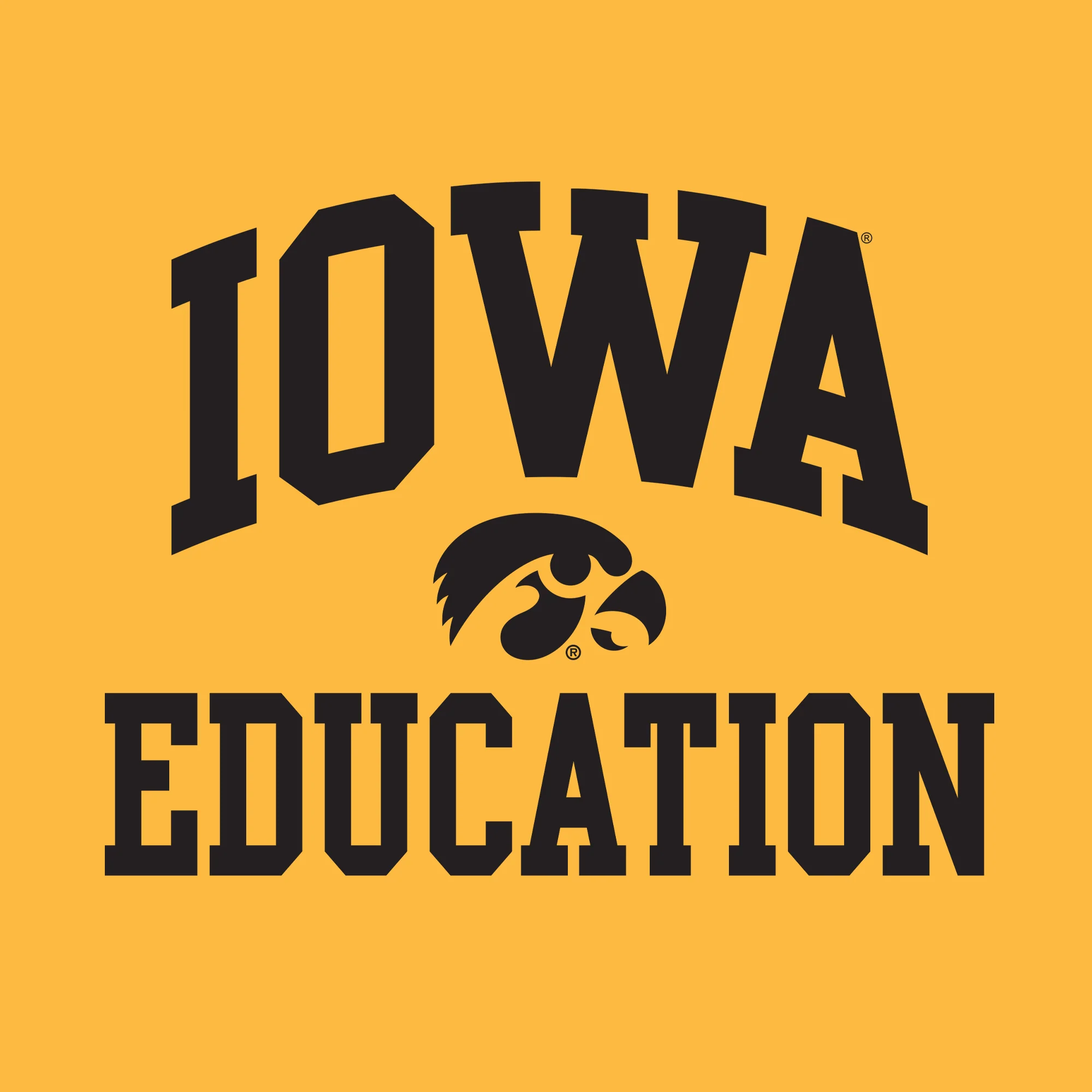 University of Iowa Hawkeyes Arch Logo Education Short Sleeve T Shirt - Gold - Image 2