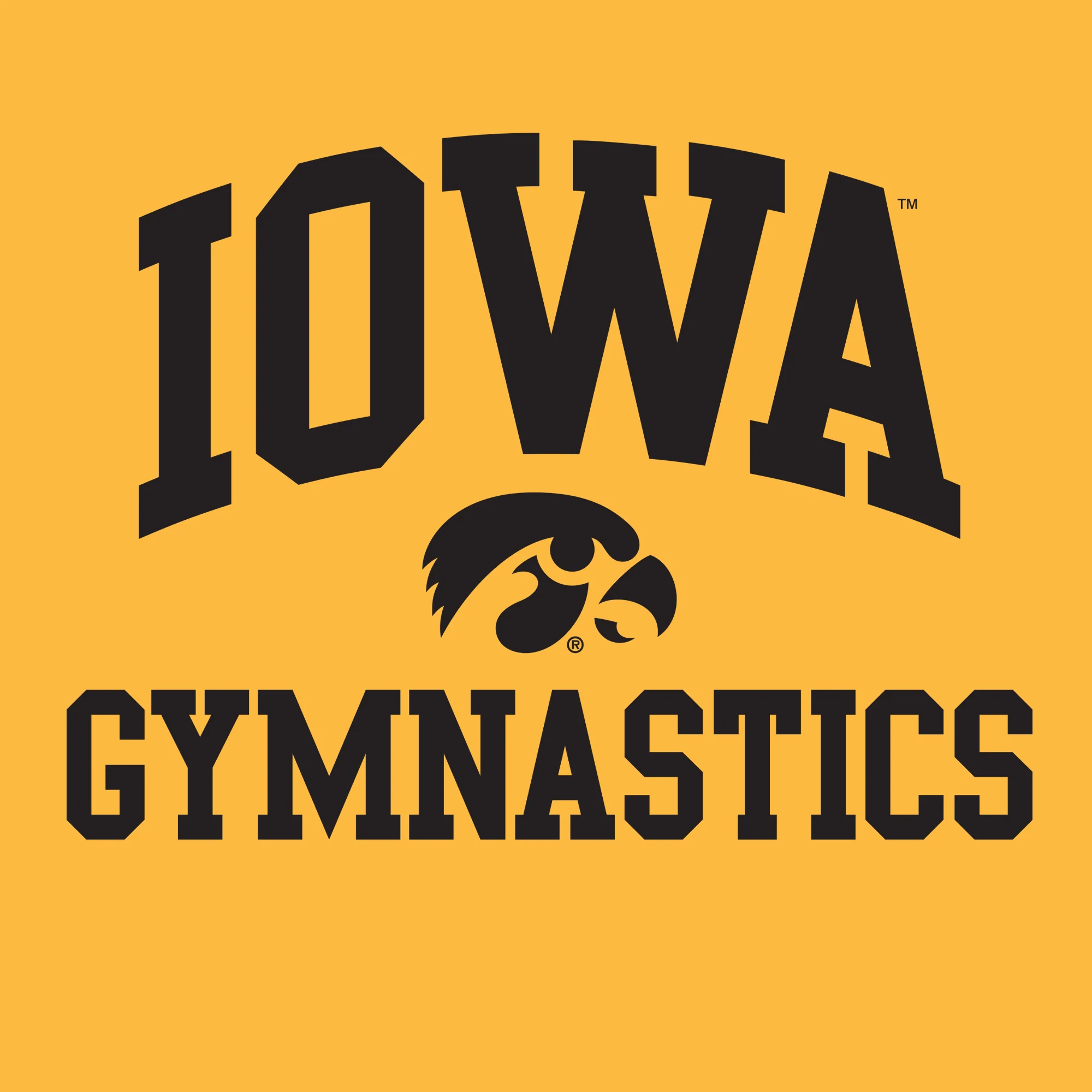 University of Iowa Hawkeyes Arch Logo Gymnastics Short Sleeve T Shirt - Gold - Image 2