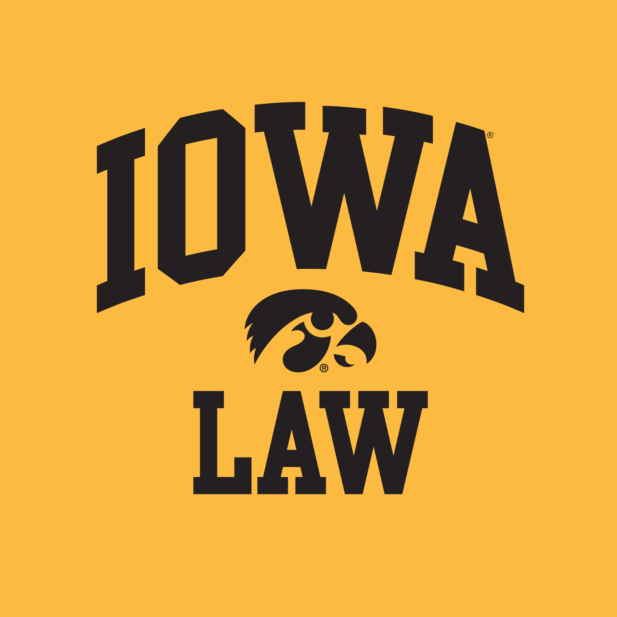 University of Iowa Hawkeyes Arch Logo Law Short Sleeve T Shirt - Gold - Image 2