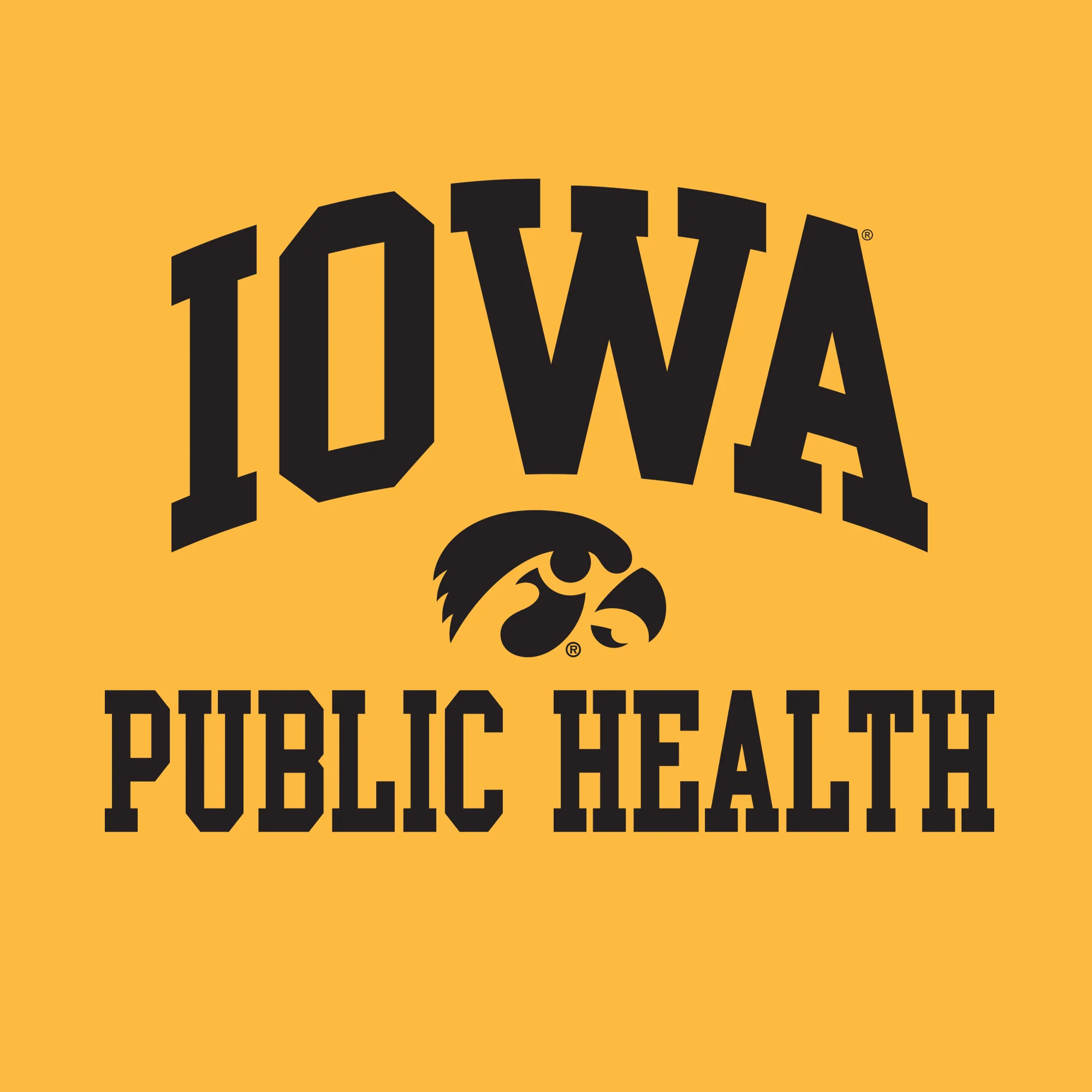 University of Iowa Hawkeyes Arch Logo Public Health Short Sleeve T Shirt - Gold - Image 2