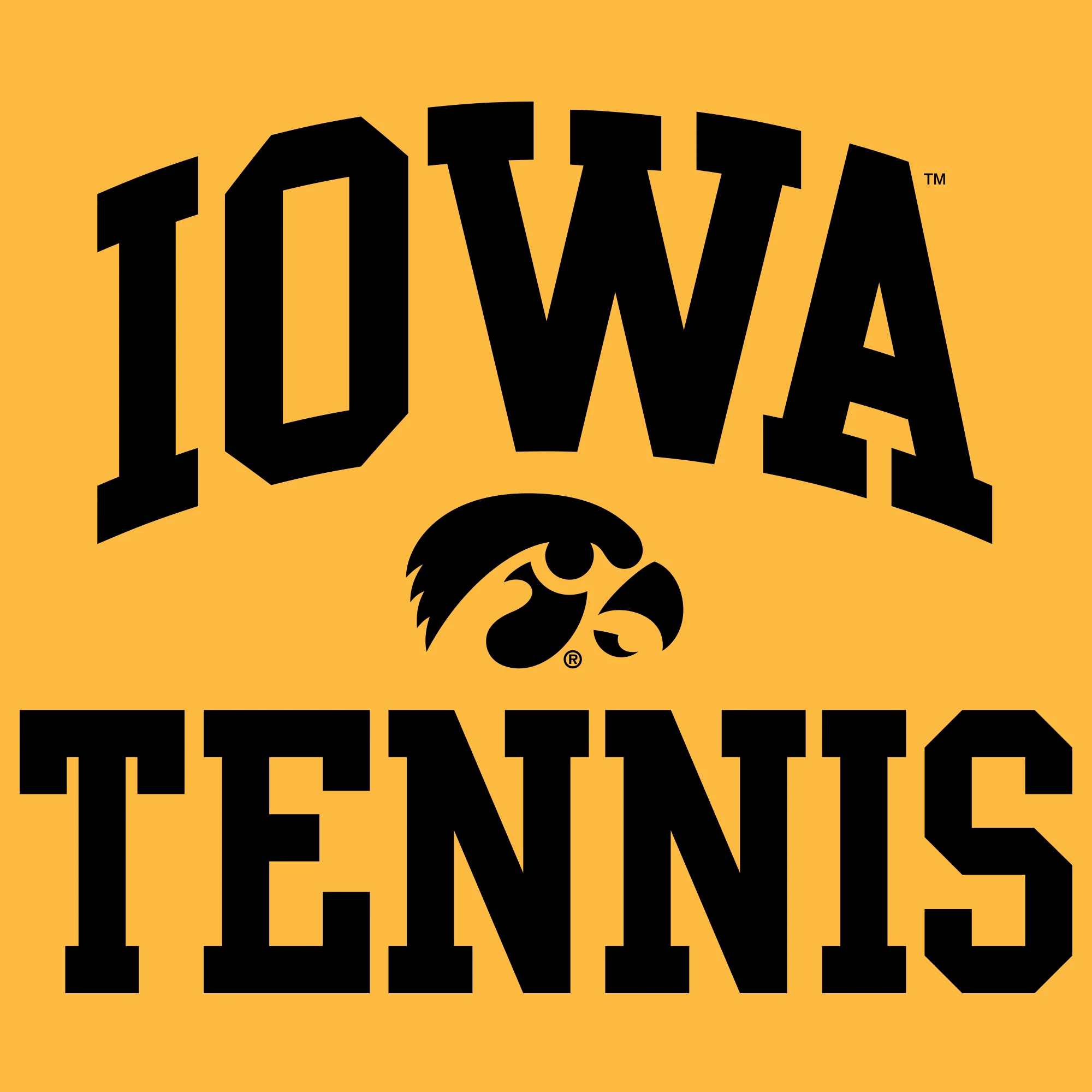 University of Iowa Hawkeyes Arch Logo Tennis Hoodie- Gold - Image 2