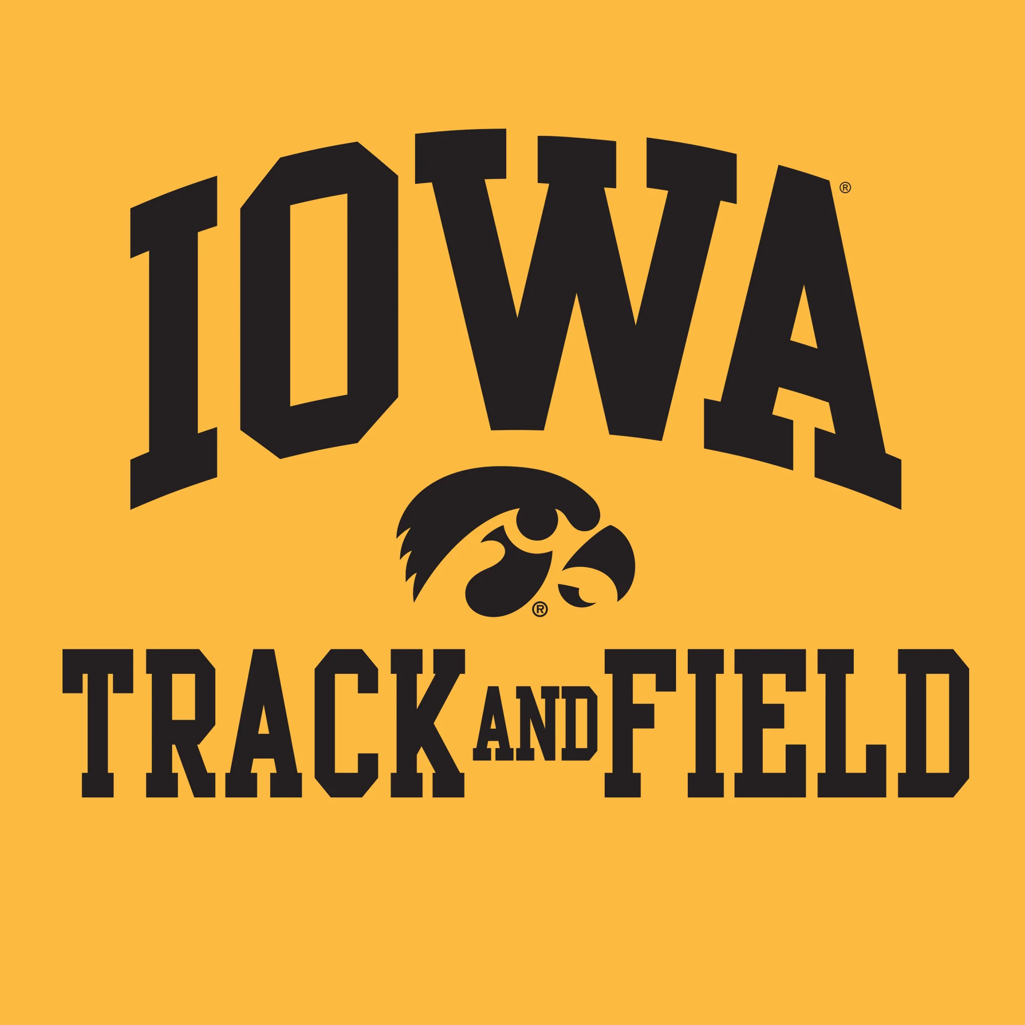 University of Iowa Hawkeyes Arch Logo Track & Field Short Sleeve T Shirt - Gold - Image 2