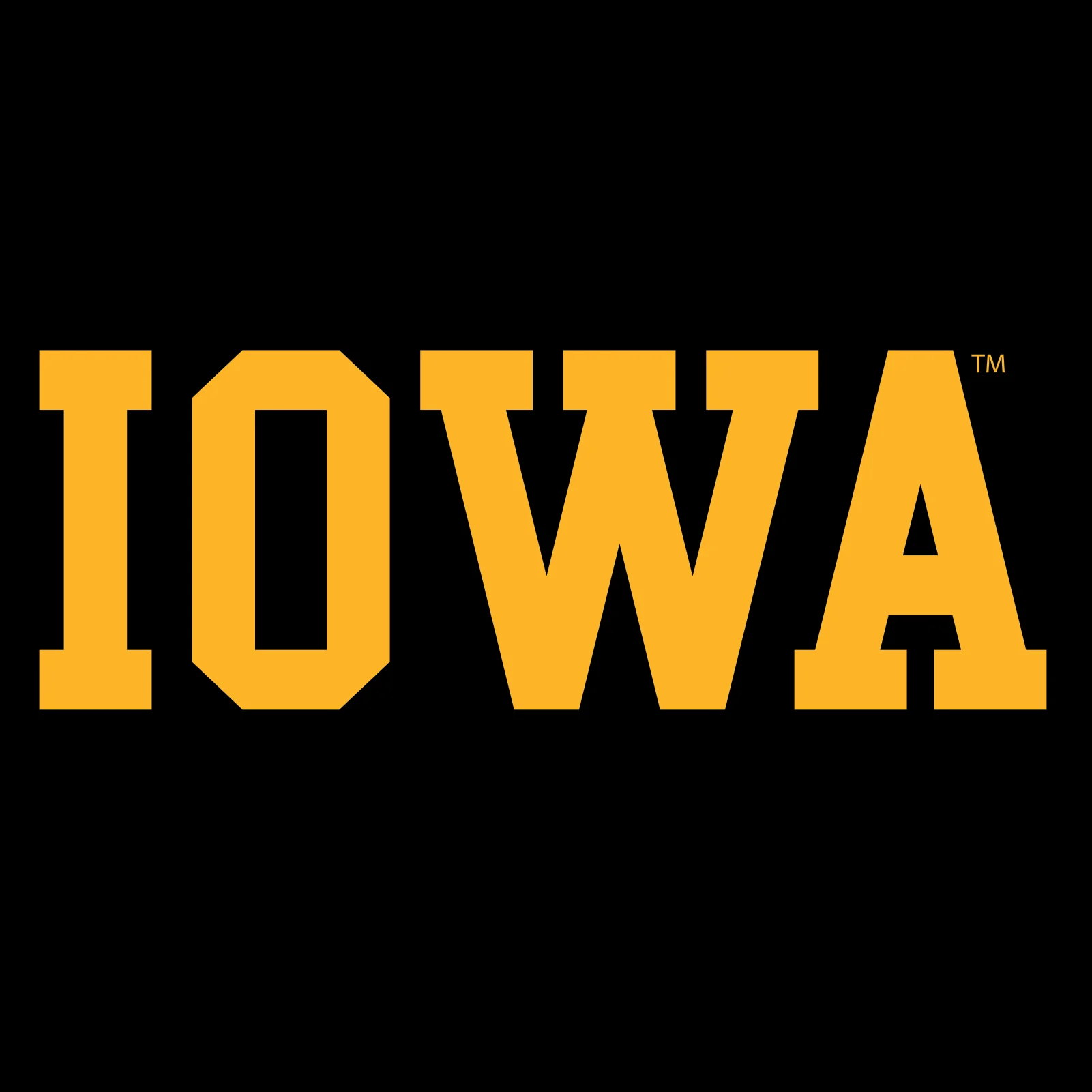 University of Iowa Hawkeyes Basic Block Heavy Blend Hoodie - Black - Image 2