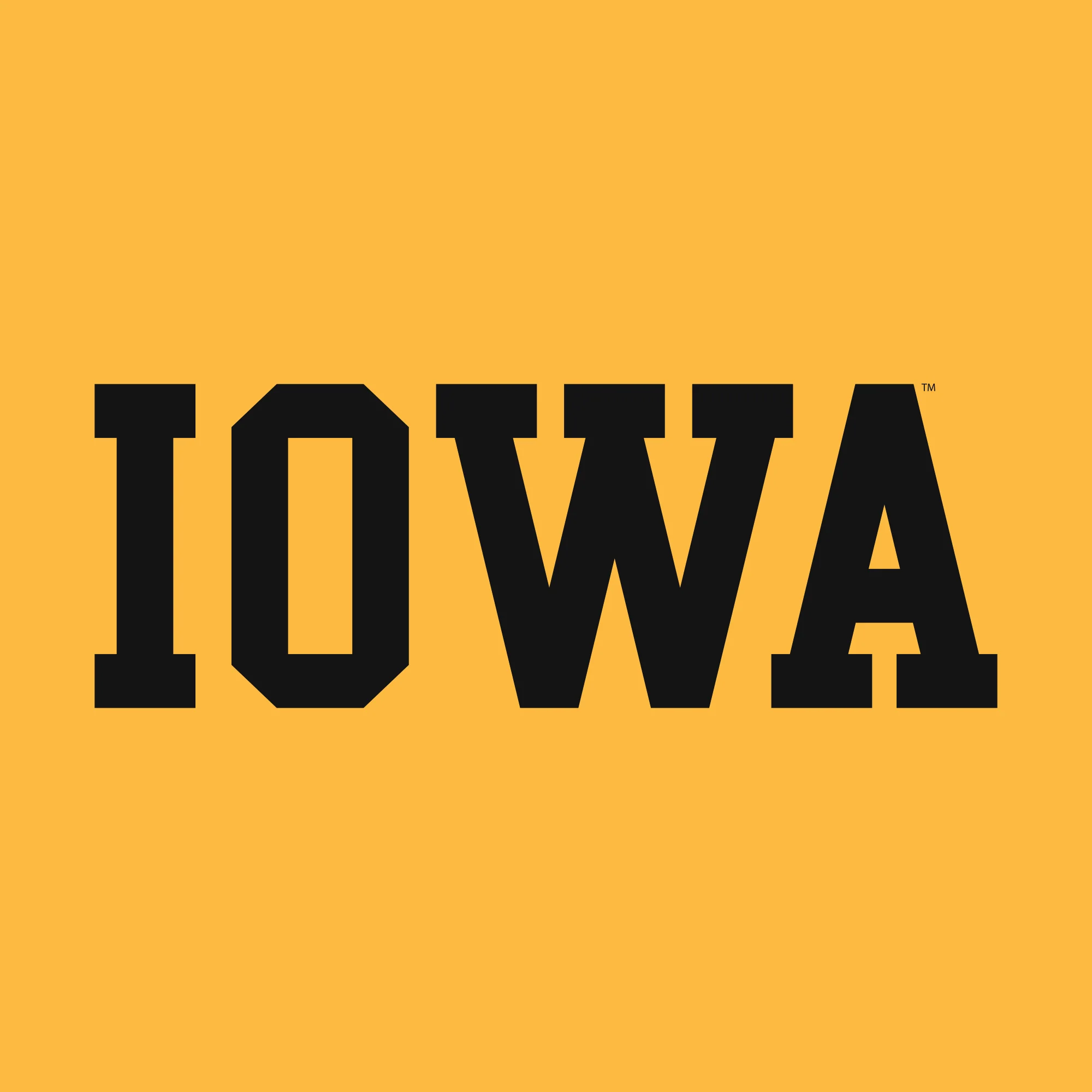University of Iowa Hawkeyes Basic Block Premium Cotton Short Sleeve T Shirt - Gold - Image 2