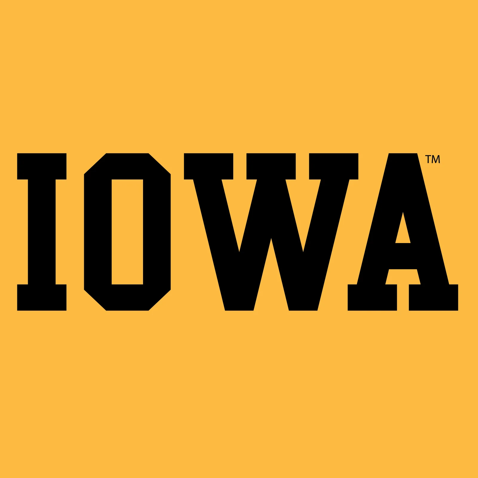 University of Iowa Hawkeyes Basic Block Youth Short Sleeve T Shirt - Gold - Image 2