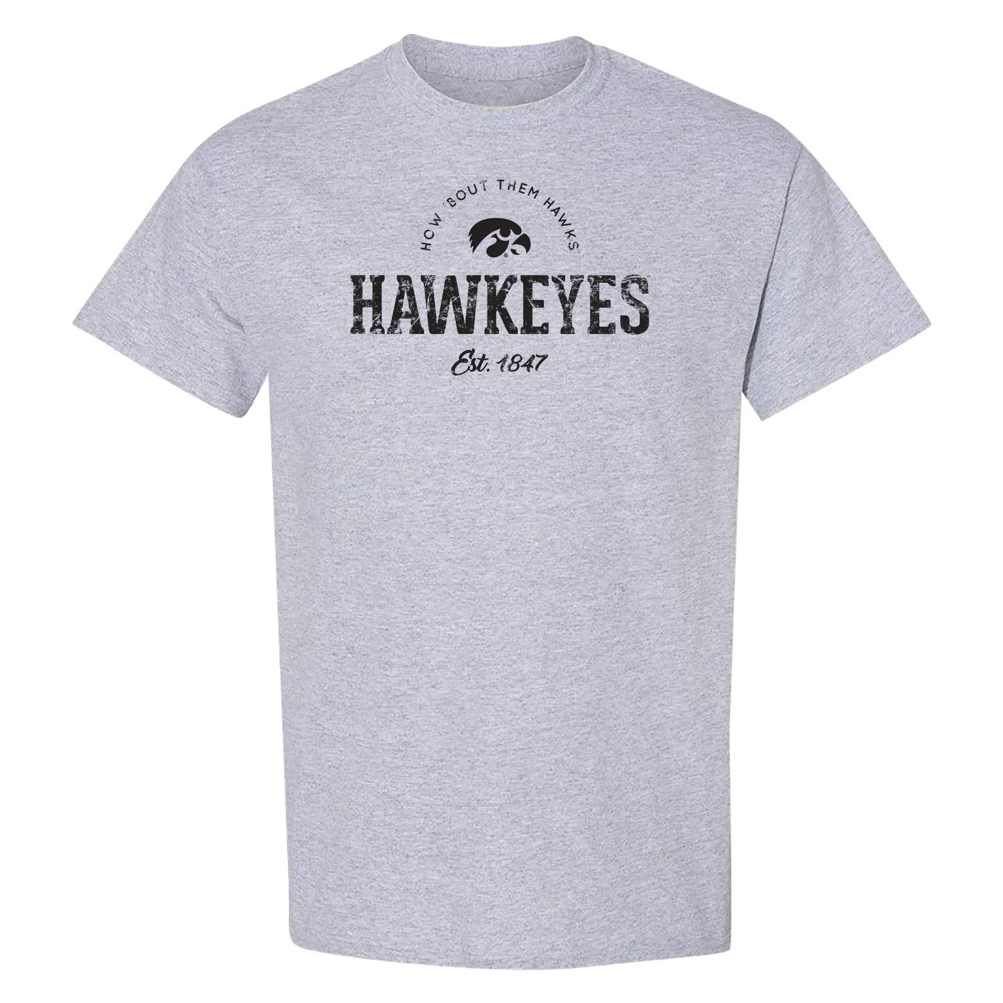 University of Iowa Hawkeyes Established Arch Short Sleeves T Shirt - Sport Grey