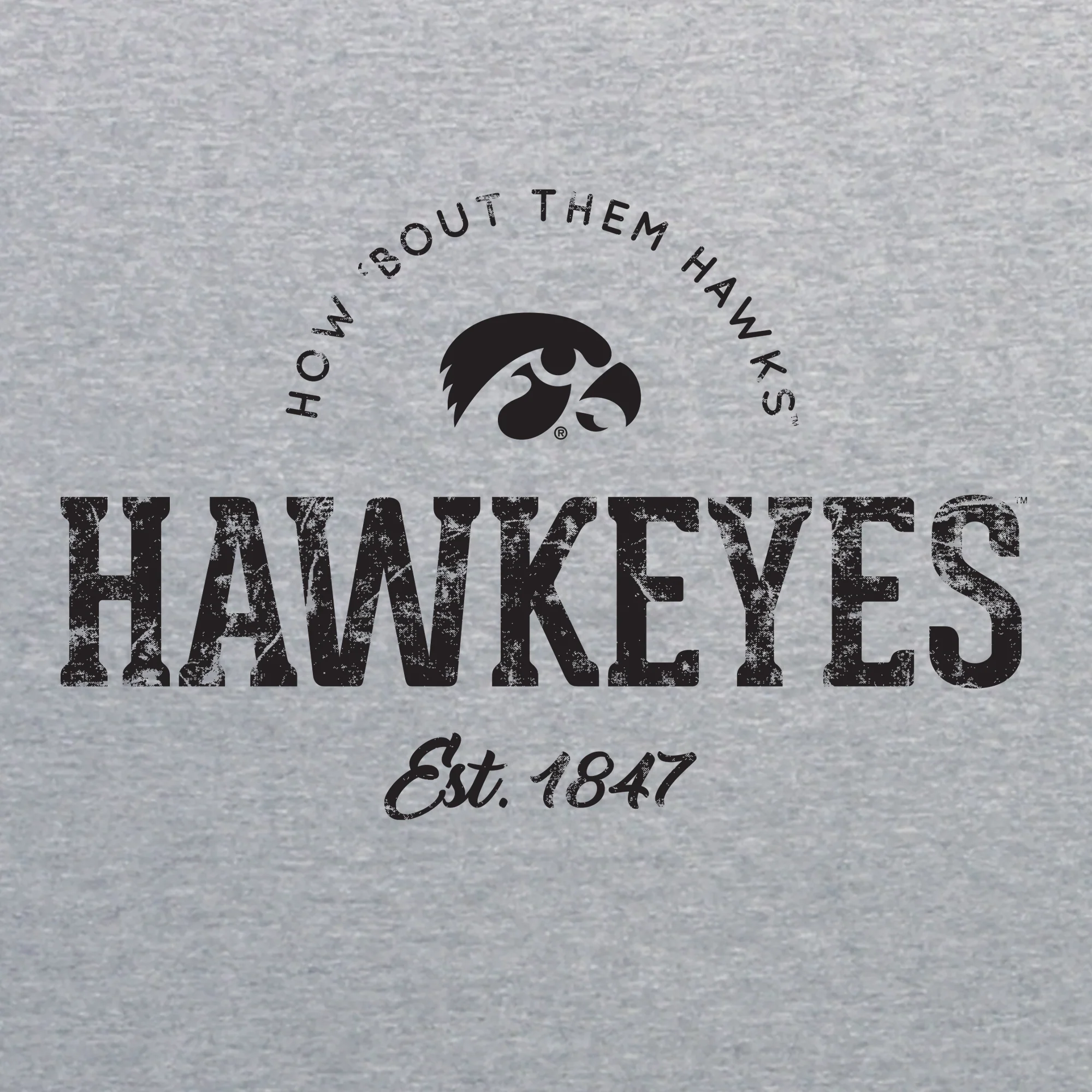 University of Iowa Hawkeyes Established Arch Short Sleeves T Shirt - Sport Grey - Image 2