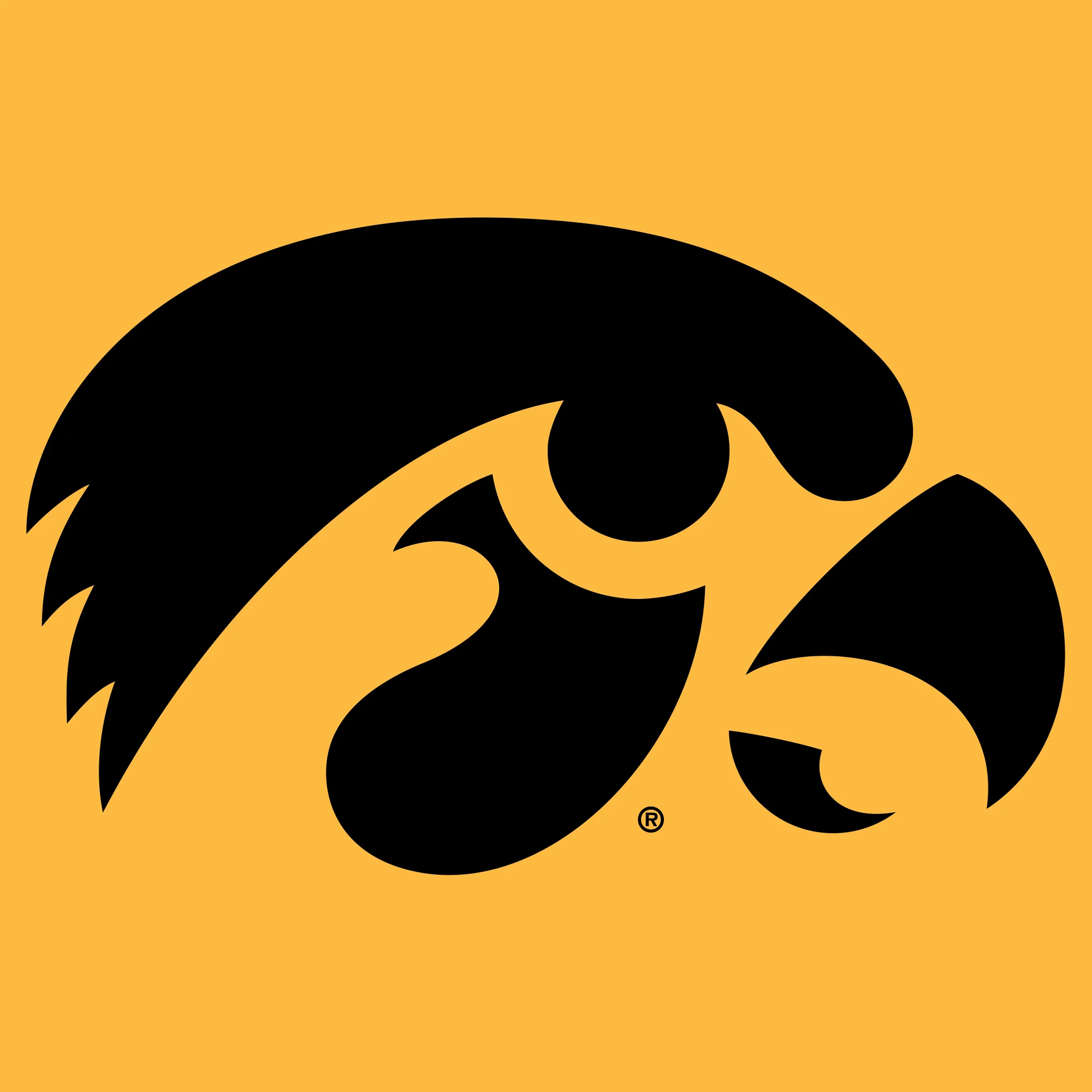 University of Iowa Hawkeyes Front Back Print Short Sleeve T Shirt - Gold - Image 4