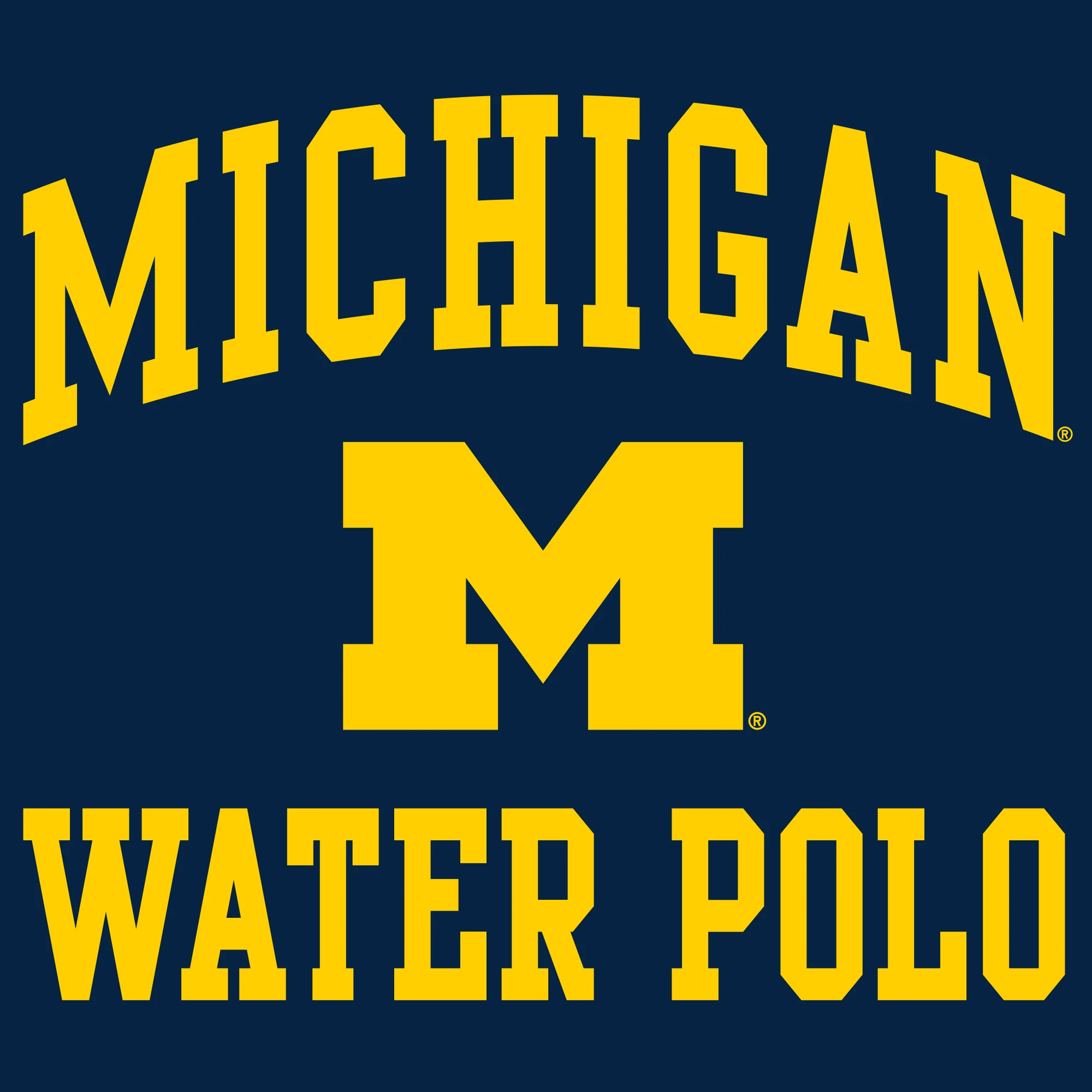 University of Michigan Wolverines Arch Logo Water Polo Hoodie - Navy - Image 2