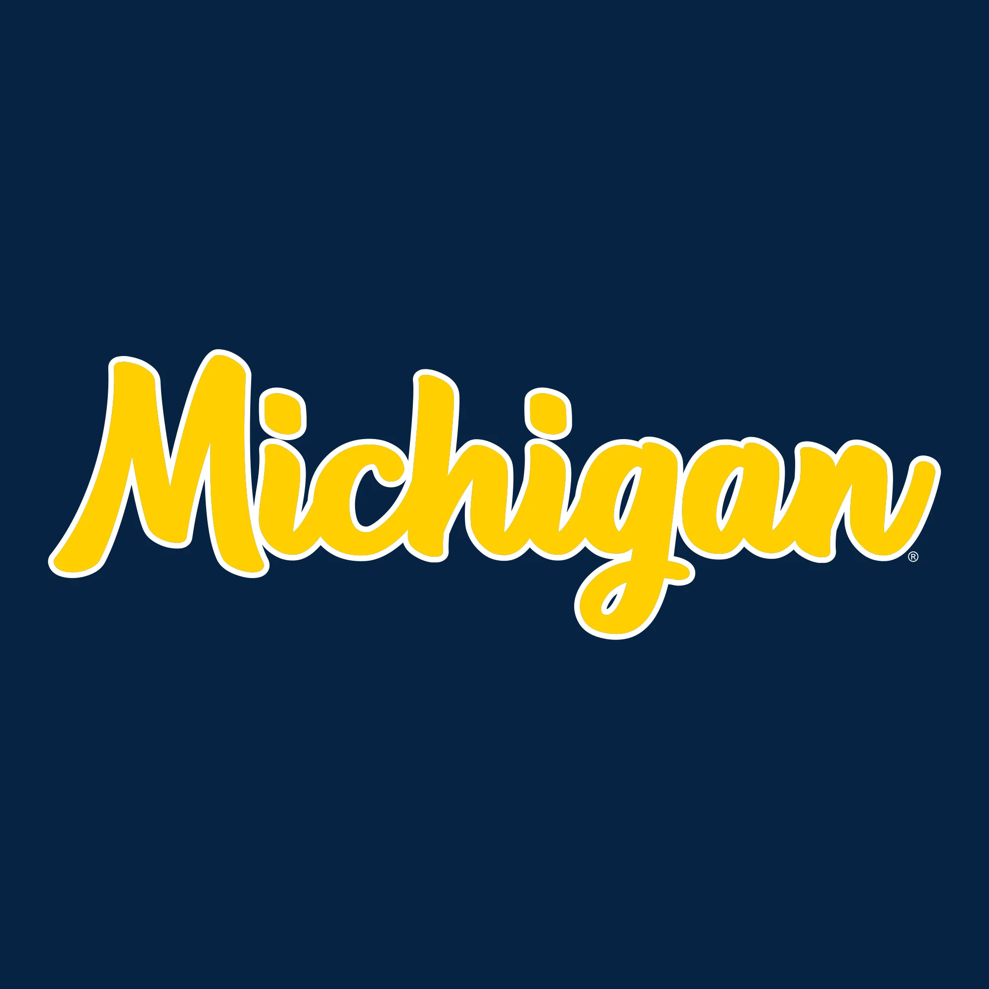 University of Michigan Wolverines Basic Script Heavy Blend Hoodie - Navy - Image 2