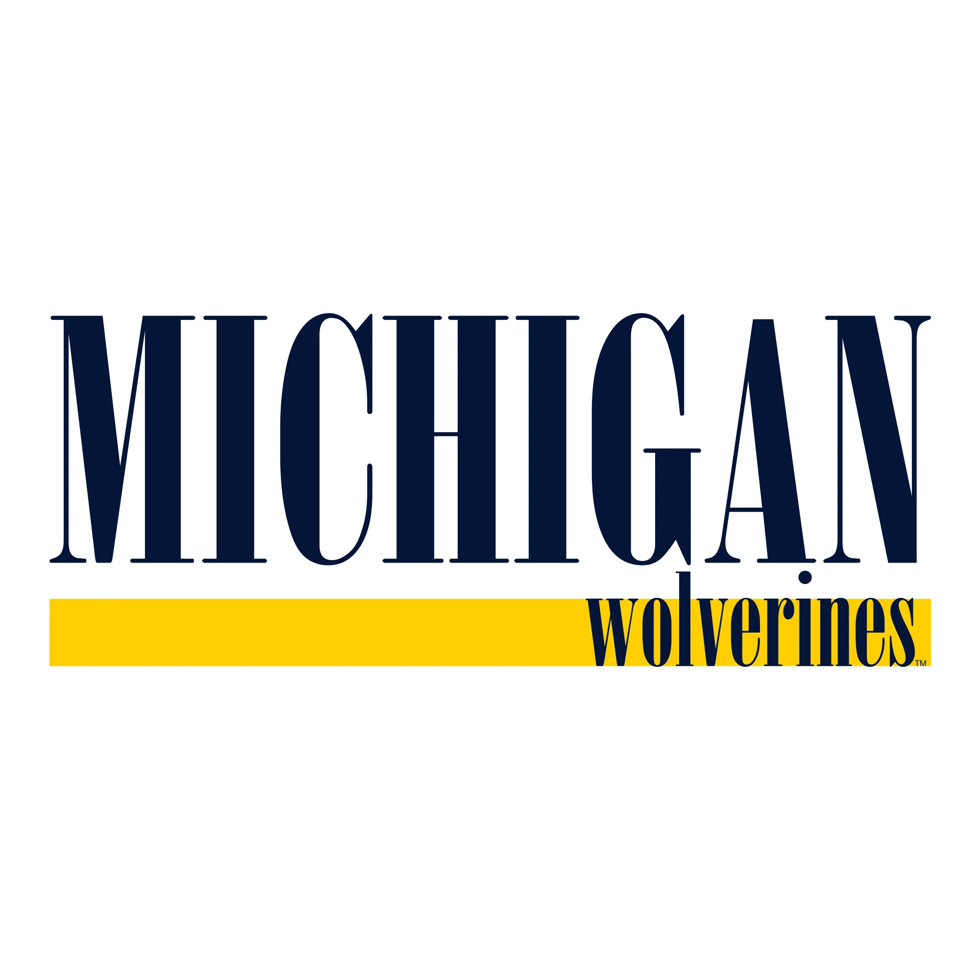 University of Michigan Wolverines Boldline Basic Cotton Crewneck Sweatshirt - White - Image 2